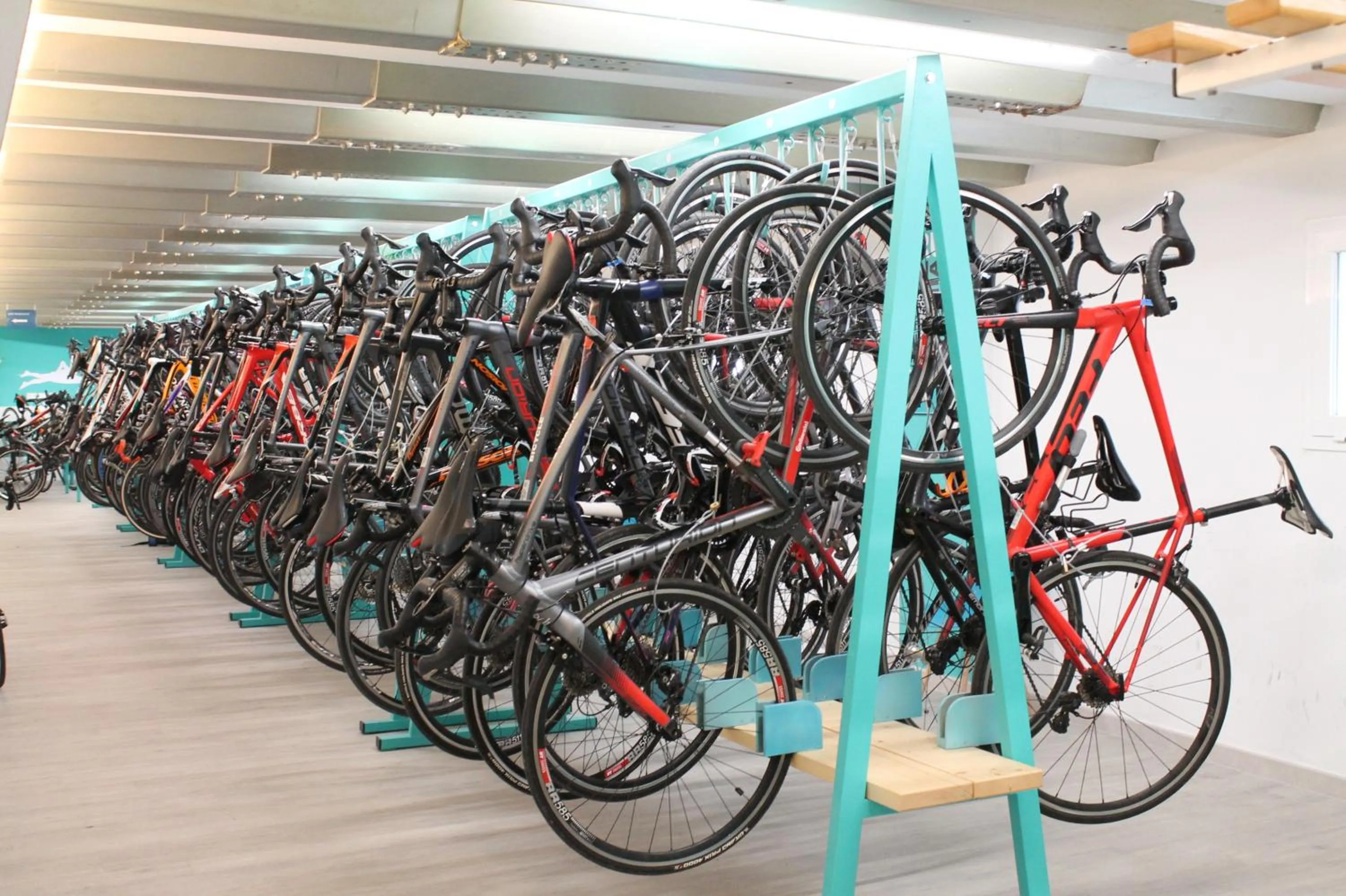 Cycling in Bahía de Alcudia Hotel & Spa