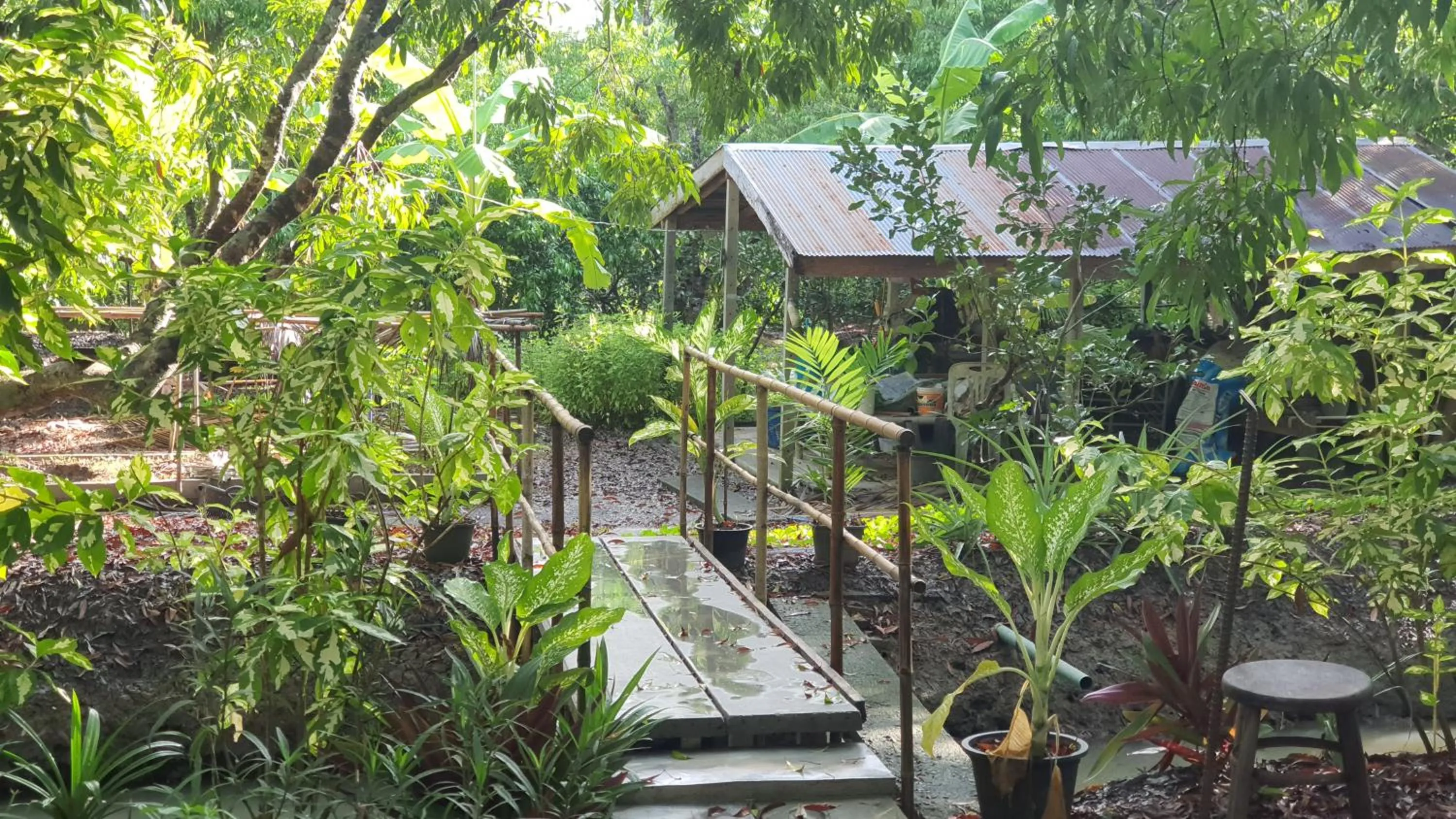 Warakorn Baansuan Amphawa