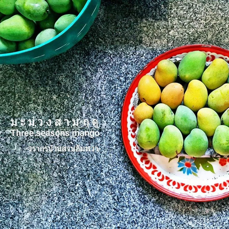 Warakorn Baansuan Amphawa