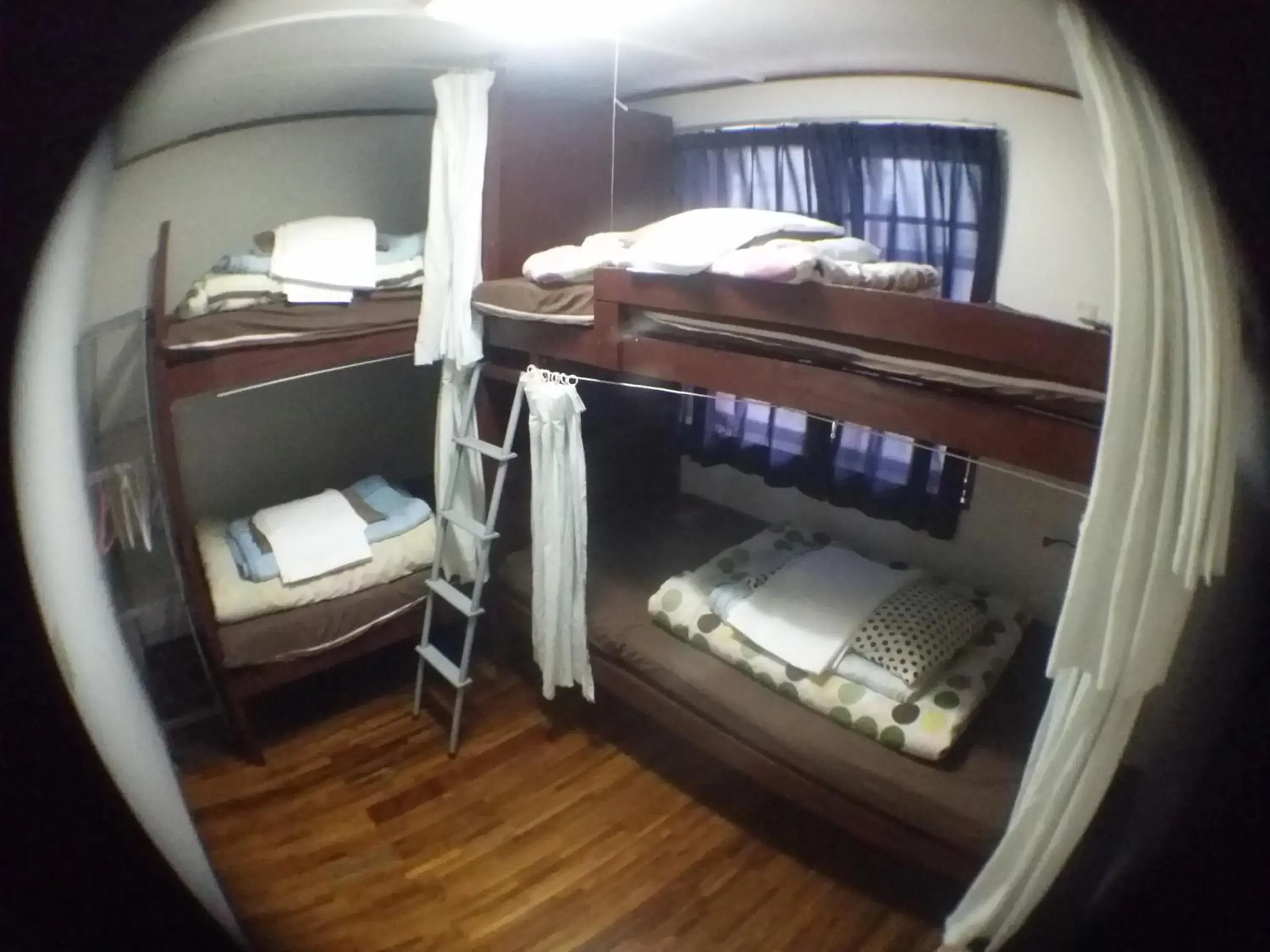 Bunk Bed in Female Dormitory Room in Guesthouse Base Okinawa Bunk Bed in Female Dormitory Room in Guesthouse Base Okinawa