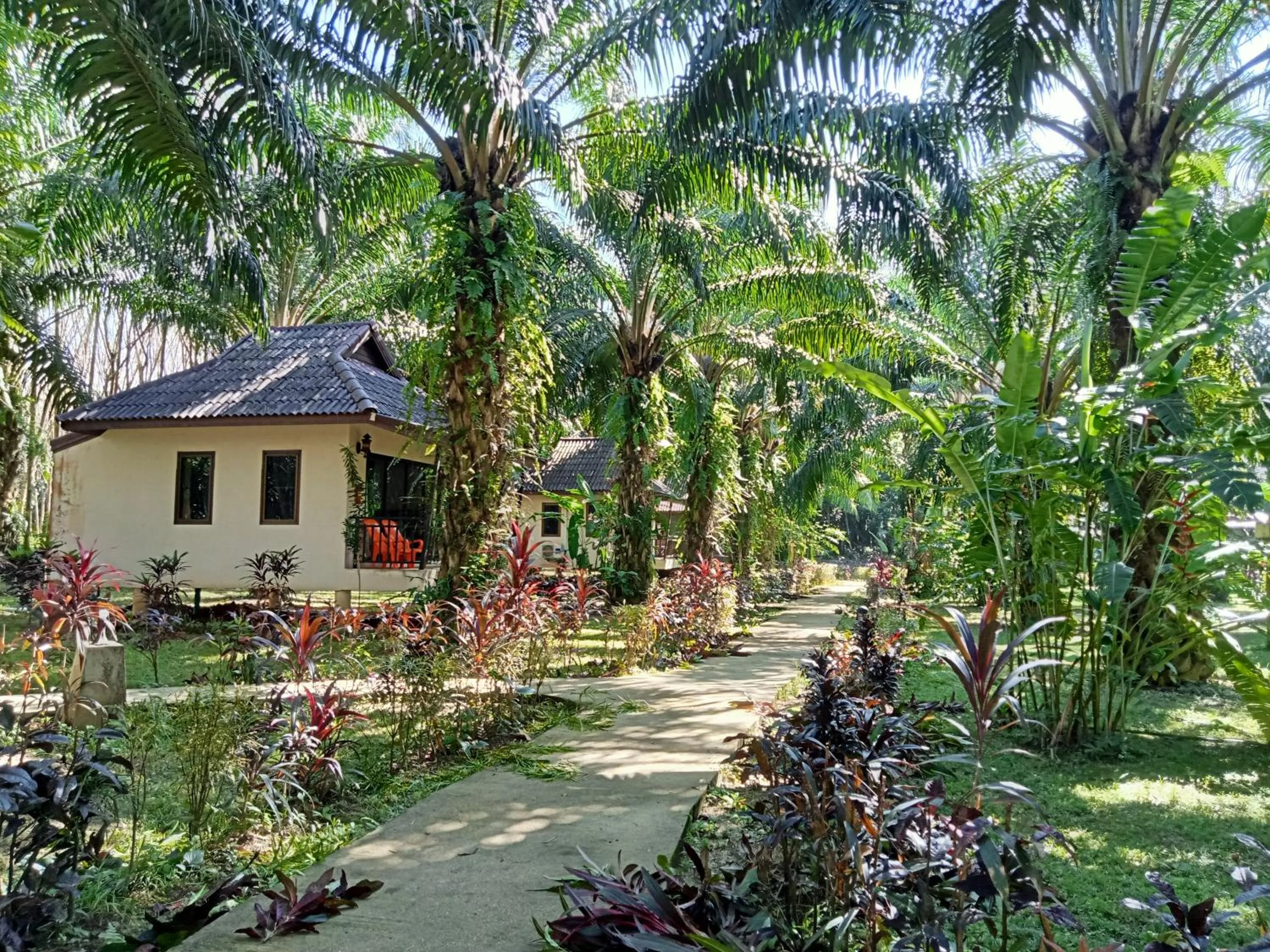 Khao Sok Palm Garden Resort