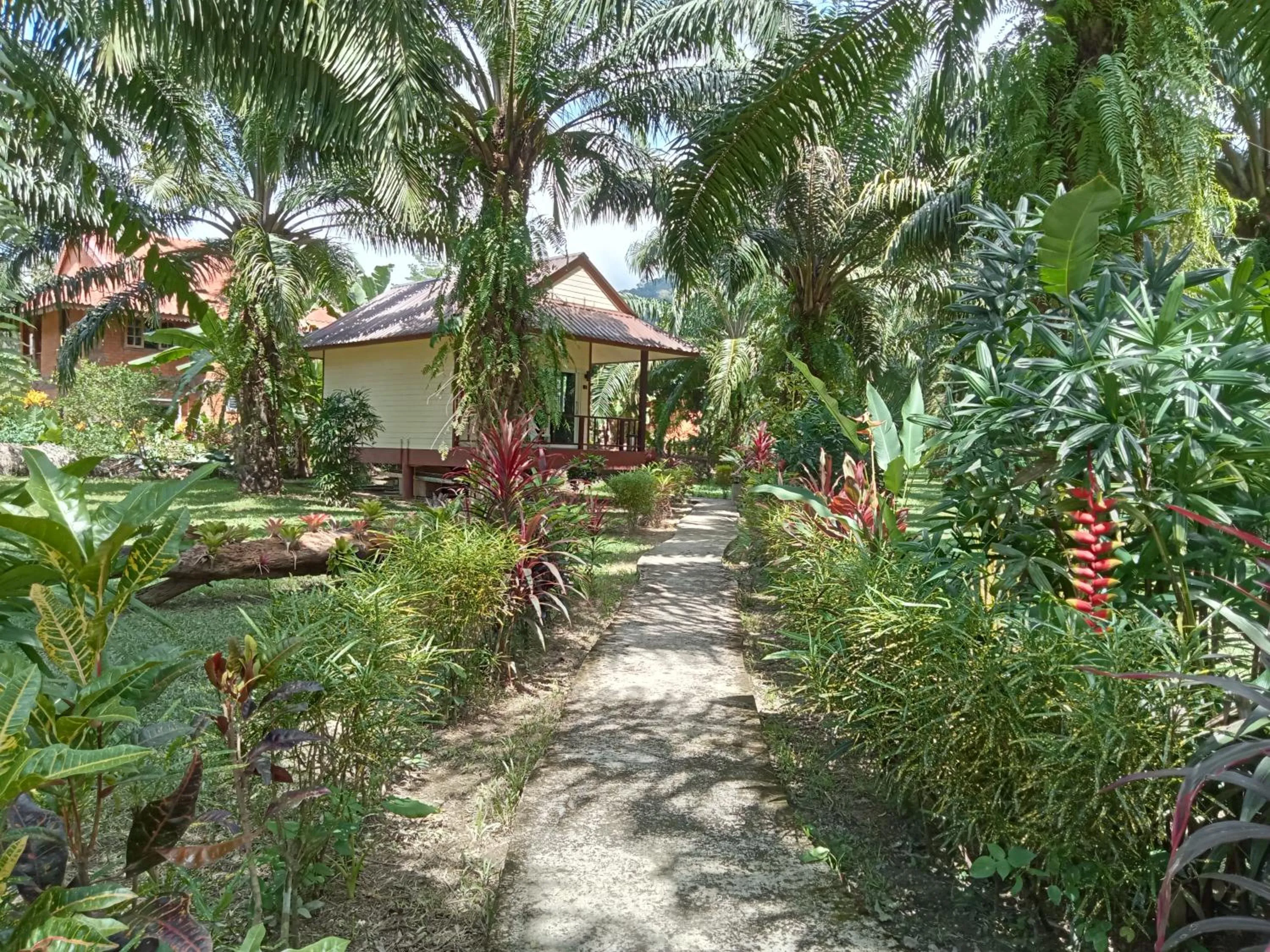 Khao Sok Palm Garden Resort