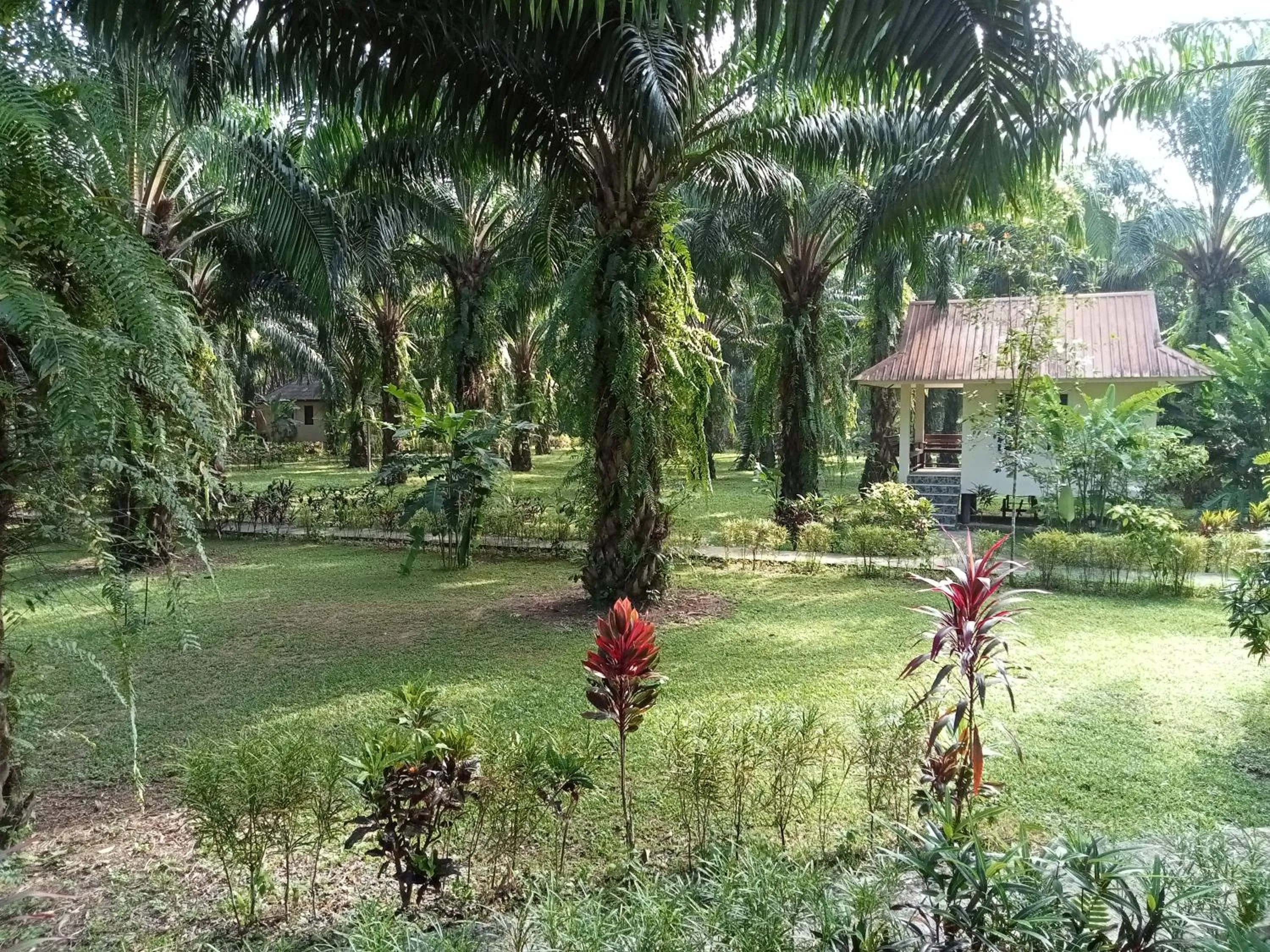 Khao Sok Palm Garden Resort