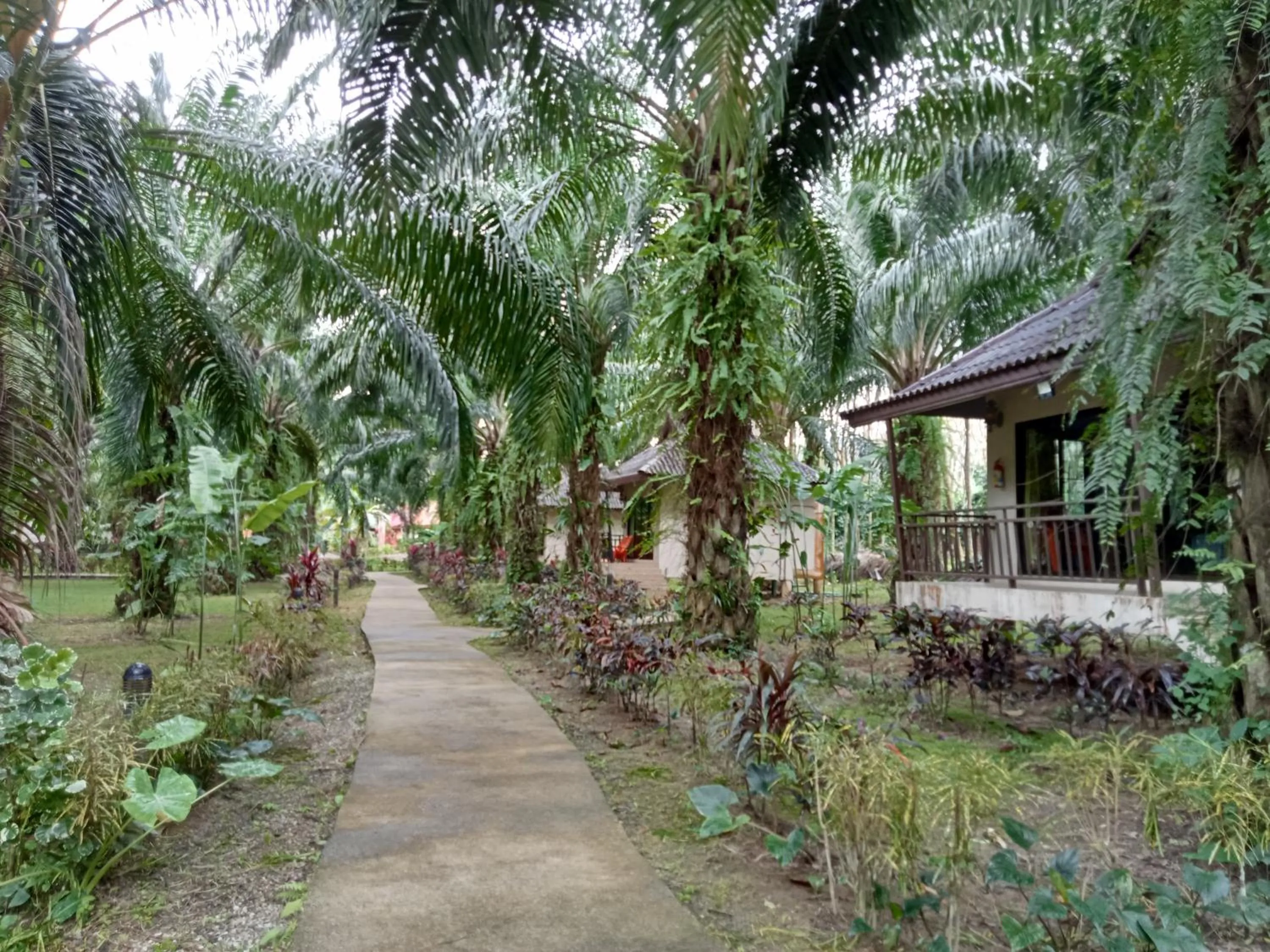 Khao Sok Palm Garden Resort