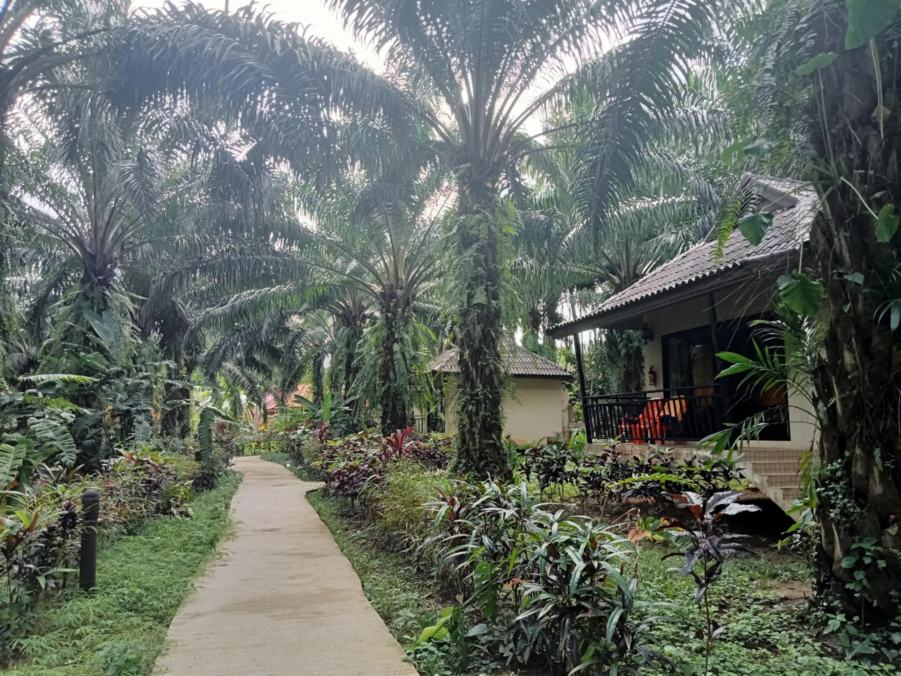 Khao Sok Palm Garden Resort