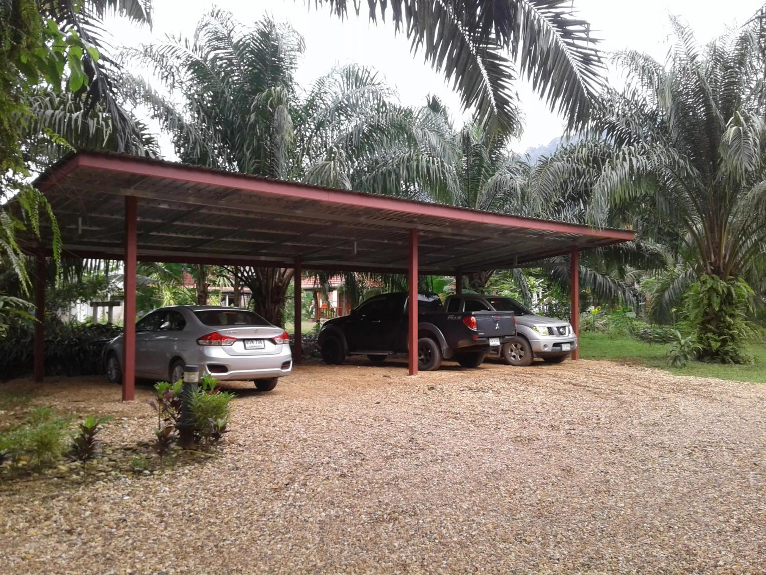 Area and facilities in Khao Sok Palm Garden Resort