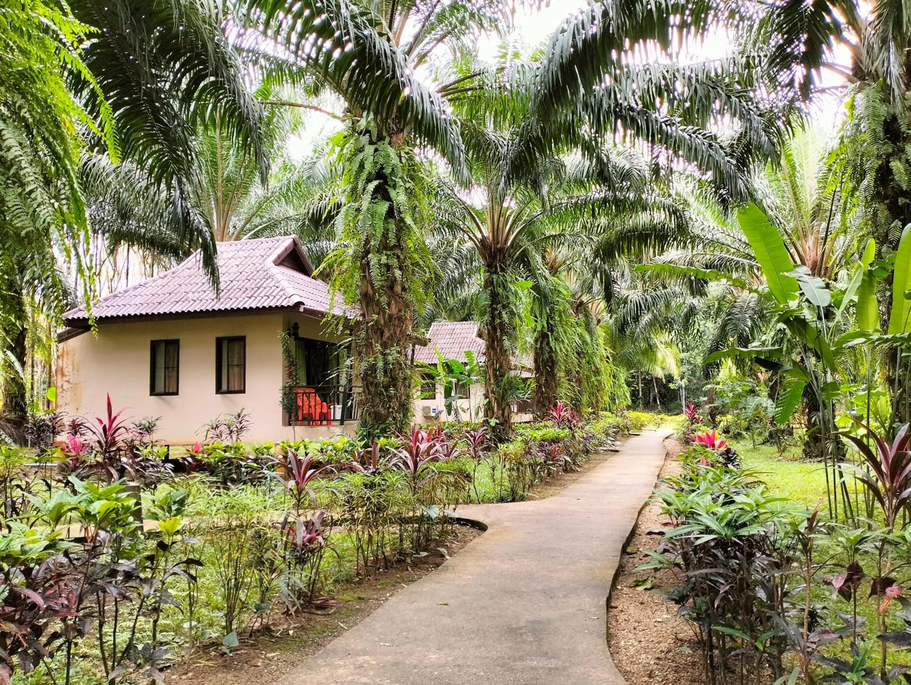 Khao Sok Palm Garden Resort
