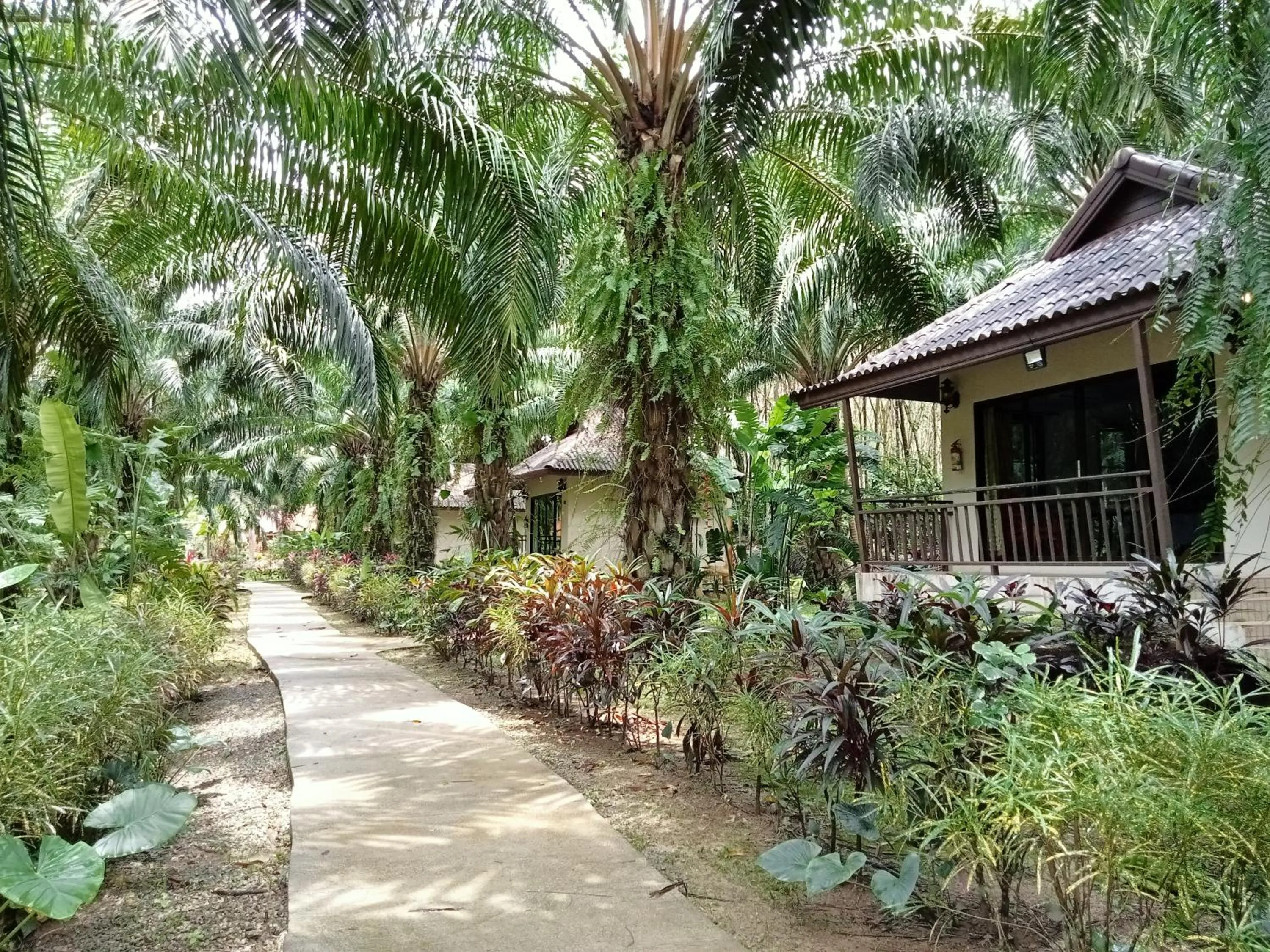 Khao Sok Palm Garden Resort
