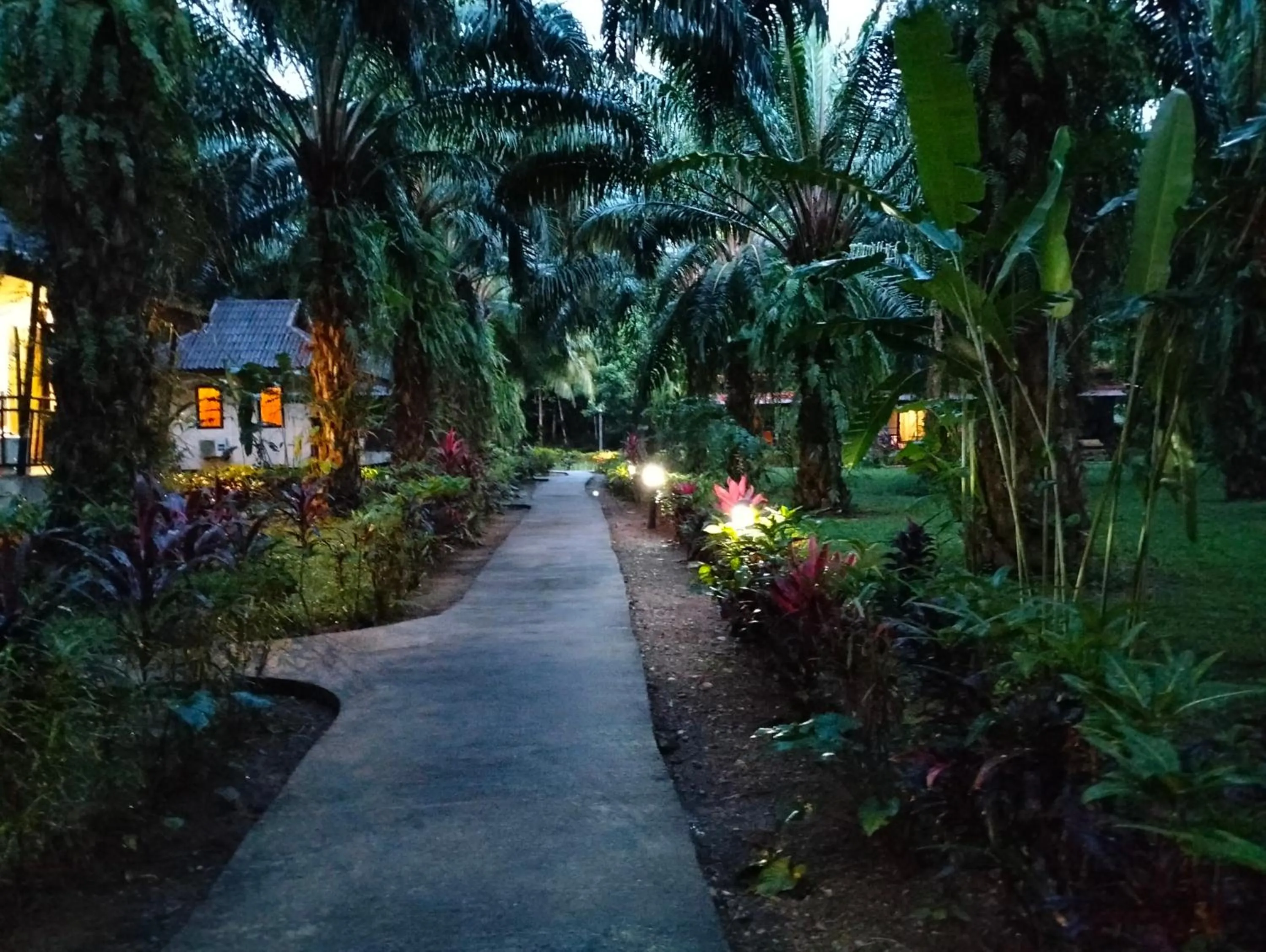 Khao Sok Palm Garden Resort