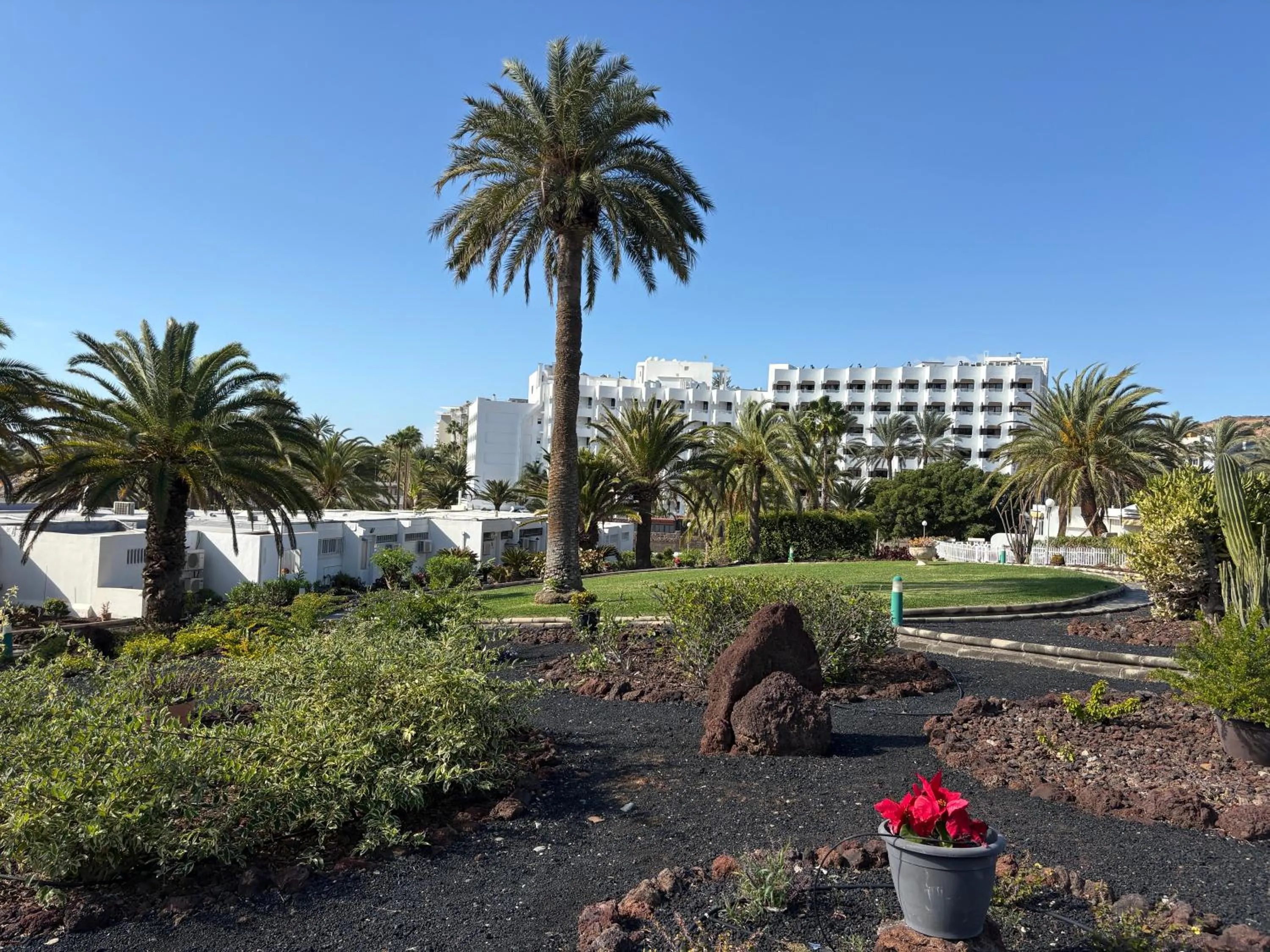 Garden in Holiday apartment with direct sea promenade access