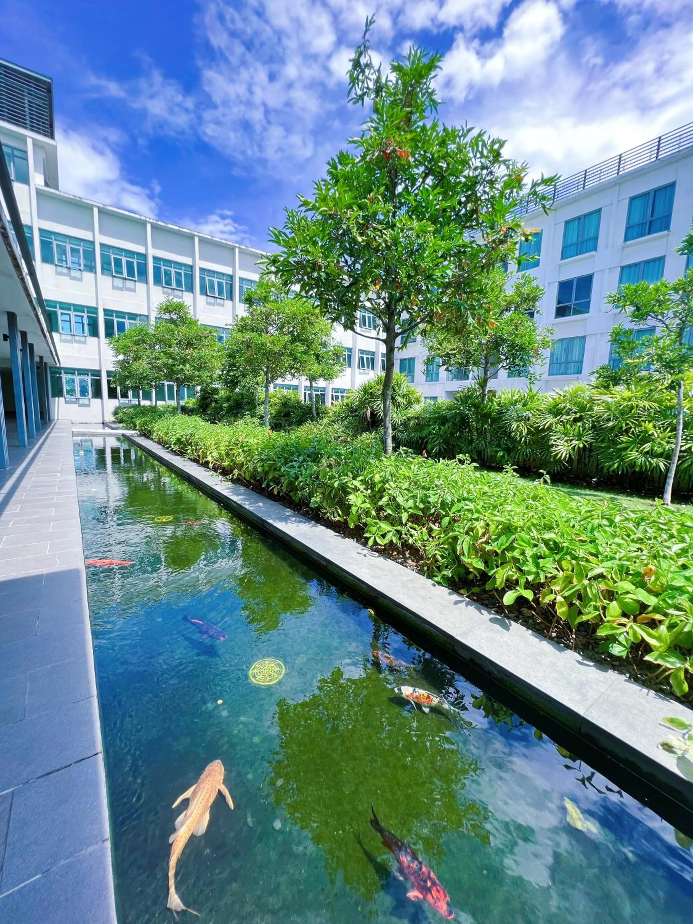 Garden in Haiya homestay Imago Shopping Mall 海雅民宿Imago购物 广场