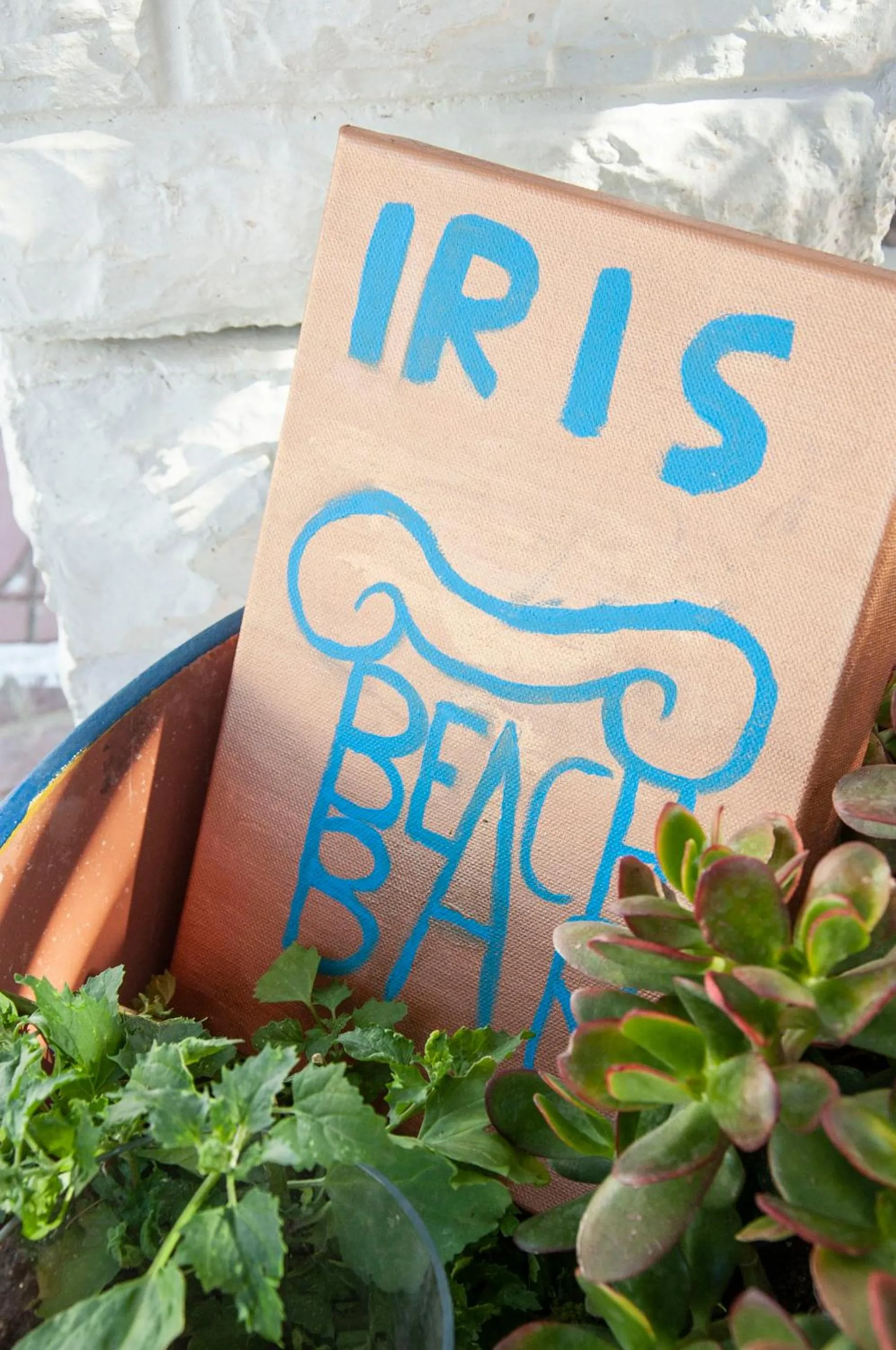 Iris Studios