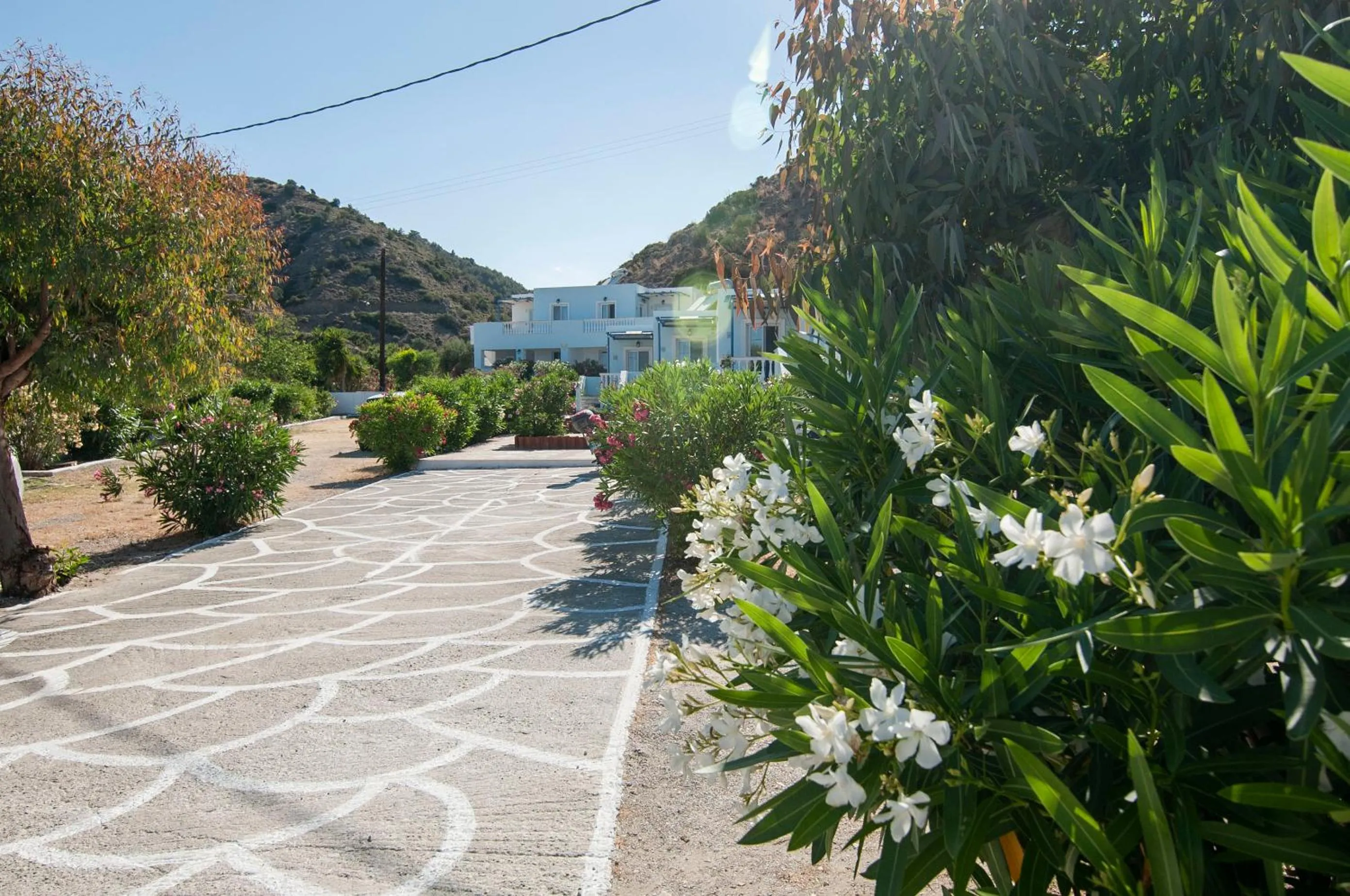 Iris Studios