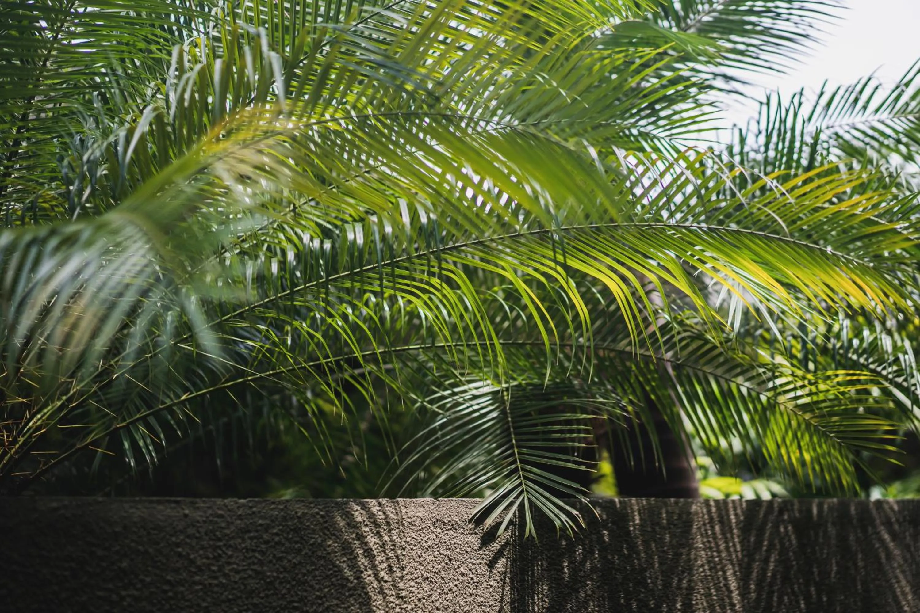 Natural landscape in iVilla by Ekosistem