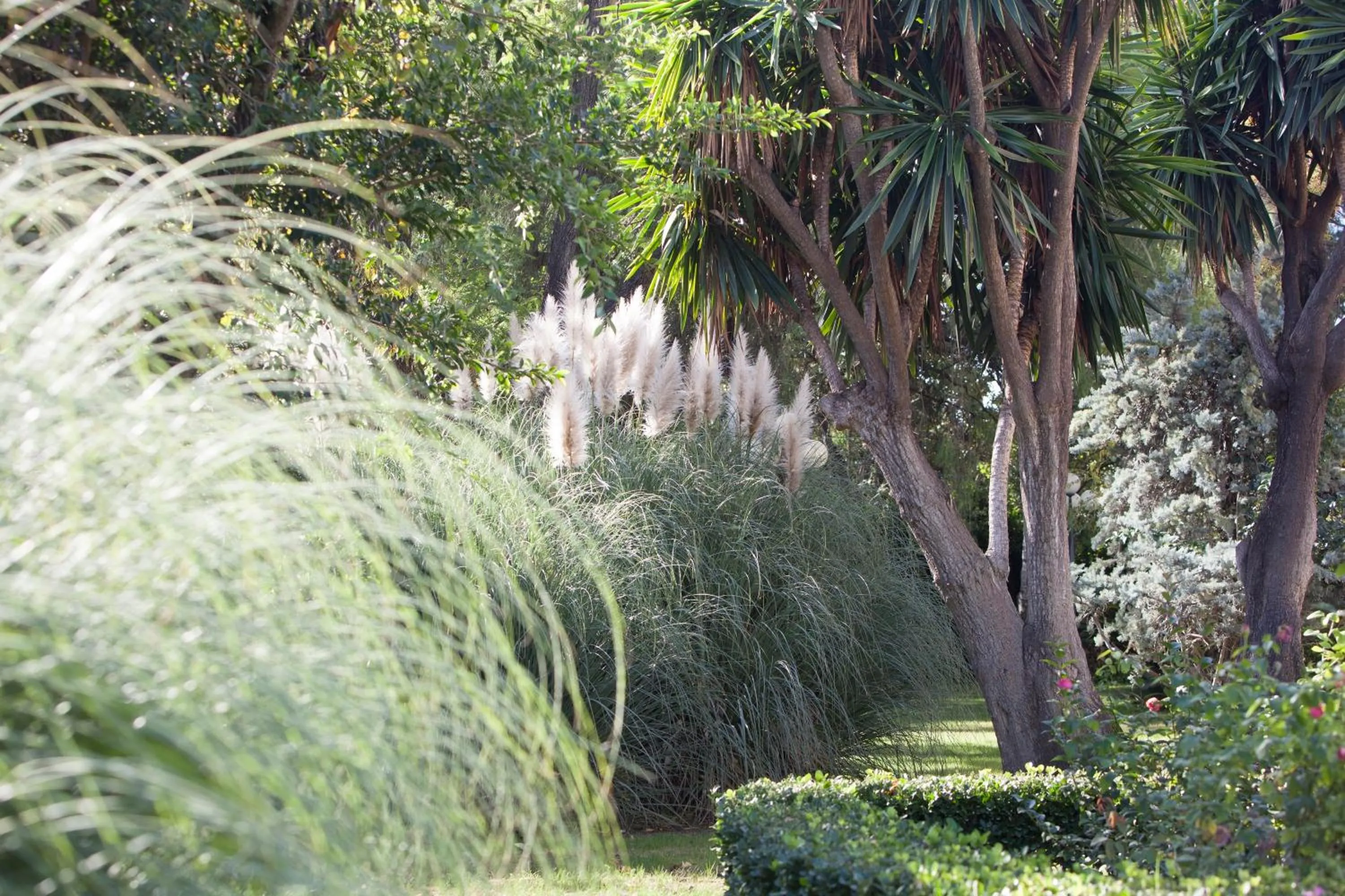 Garden in Villa Jerez