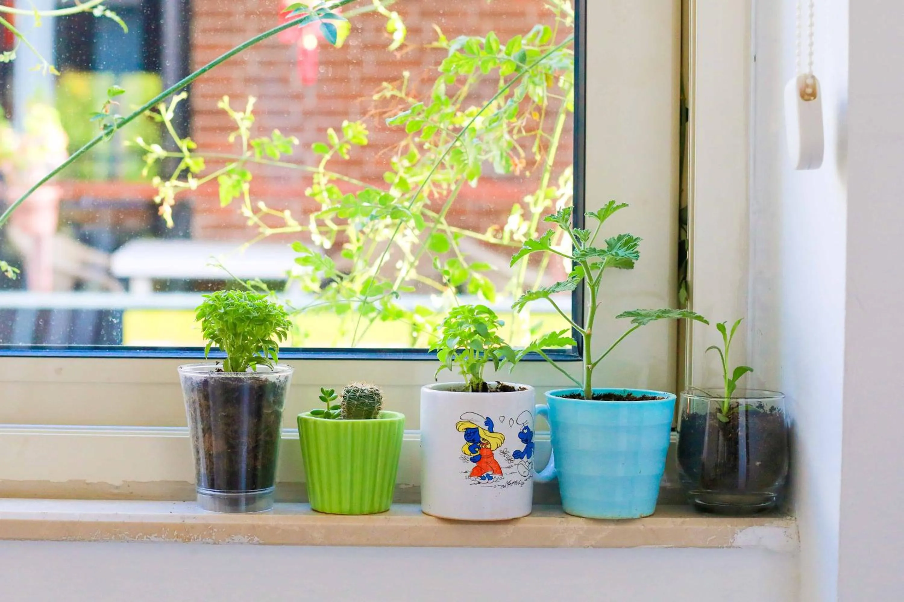 Restaurant/places to eat in Minu Hotel