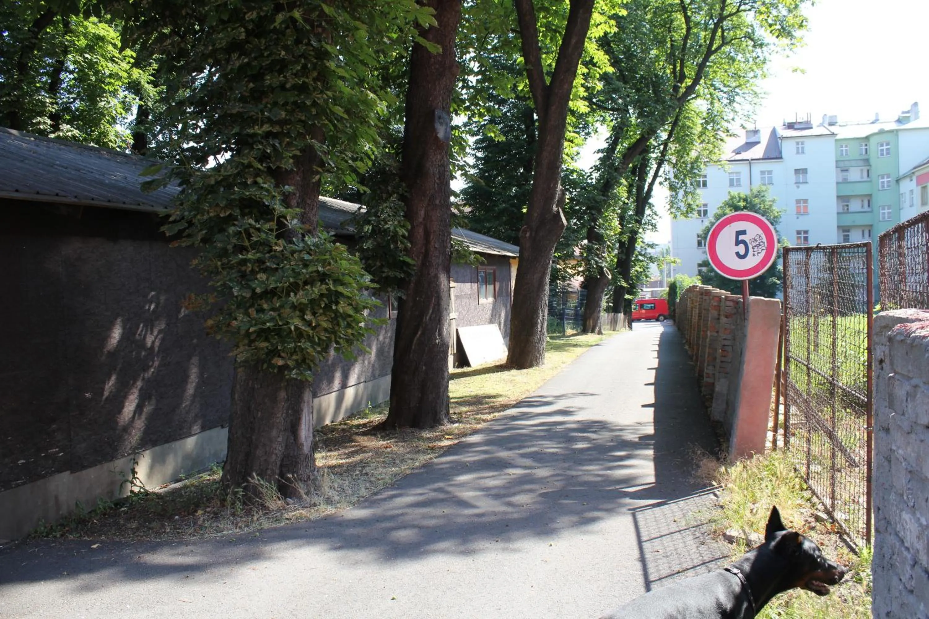 Area and facilities in Hotel Corrado