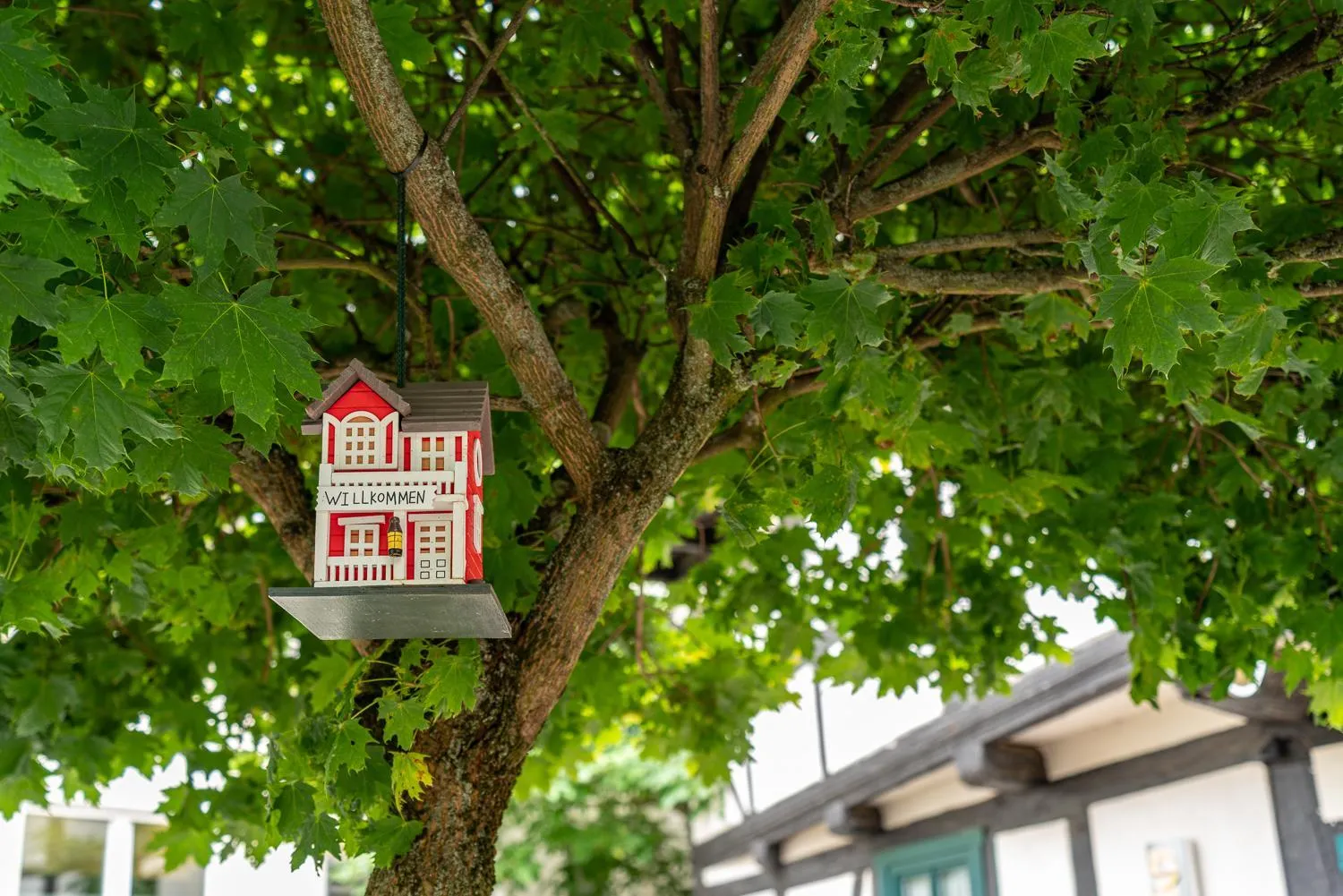 Patio in Hotel & Restaurant Stadt Genthin