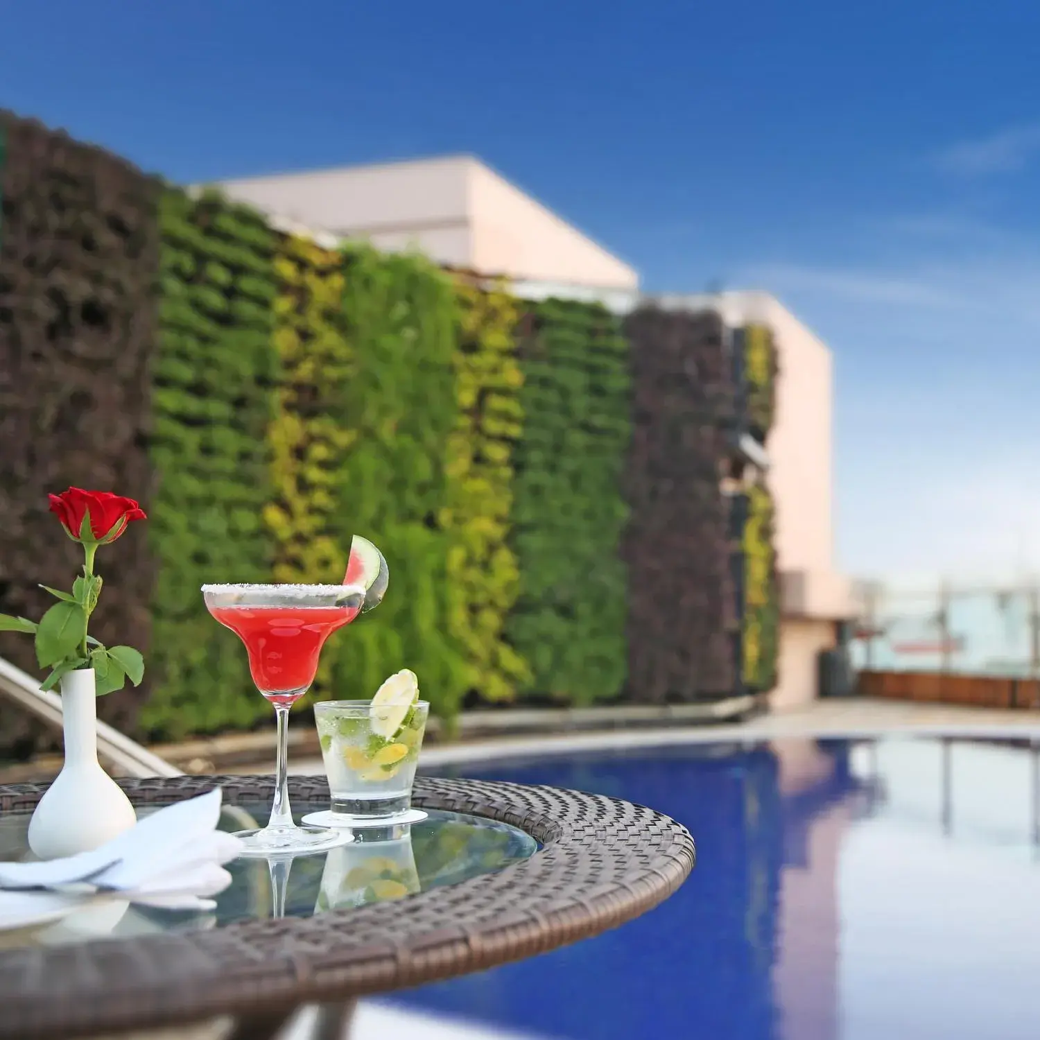 Swimming pool in Golden Tulip Jaipur Swimming pool in Golden Tulip Jaipur