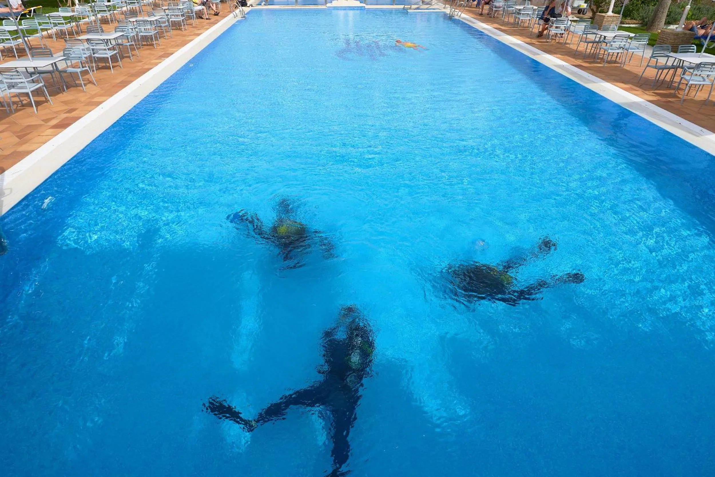 Activities in Playa de la Luz