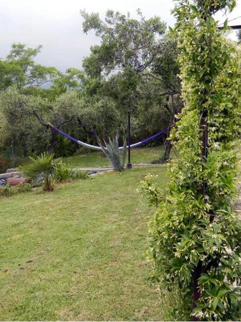 Garden in Art&Kitchen