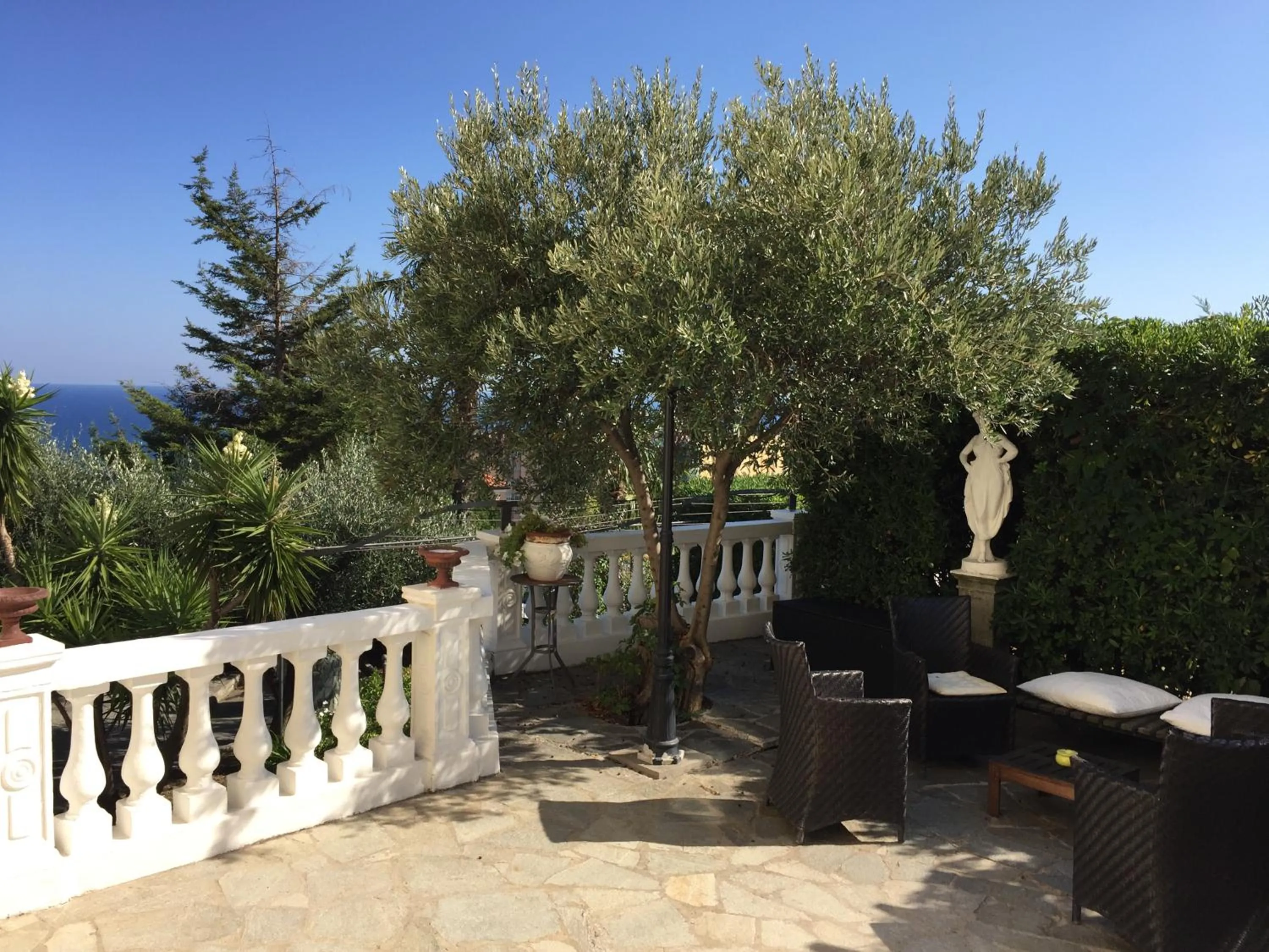 Garden in Art&Kitchen