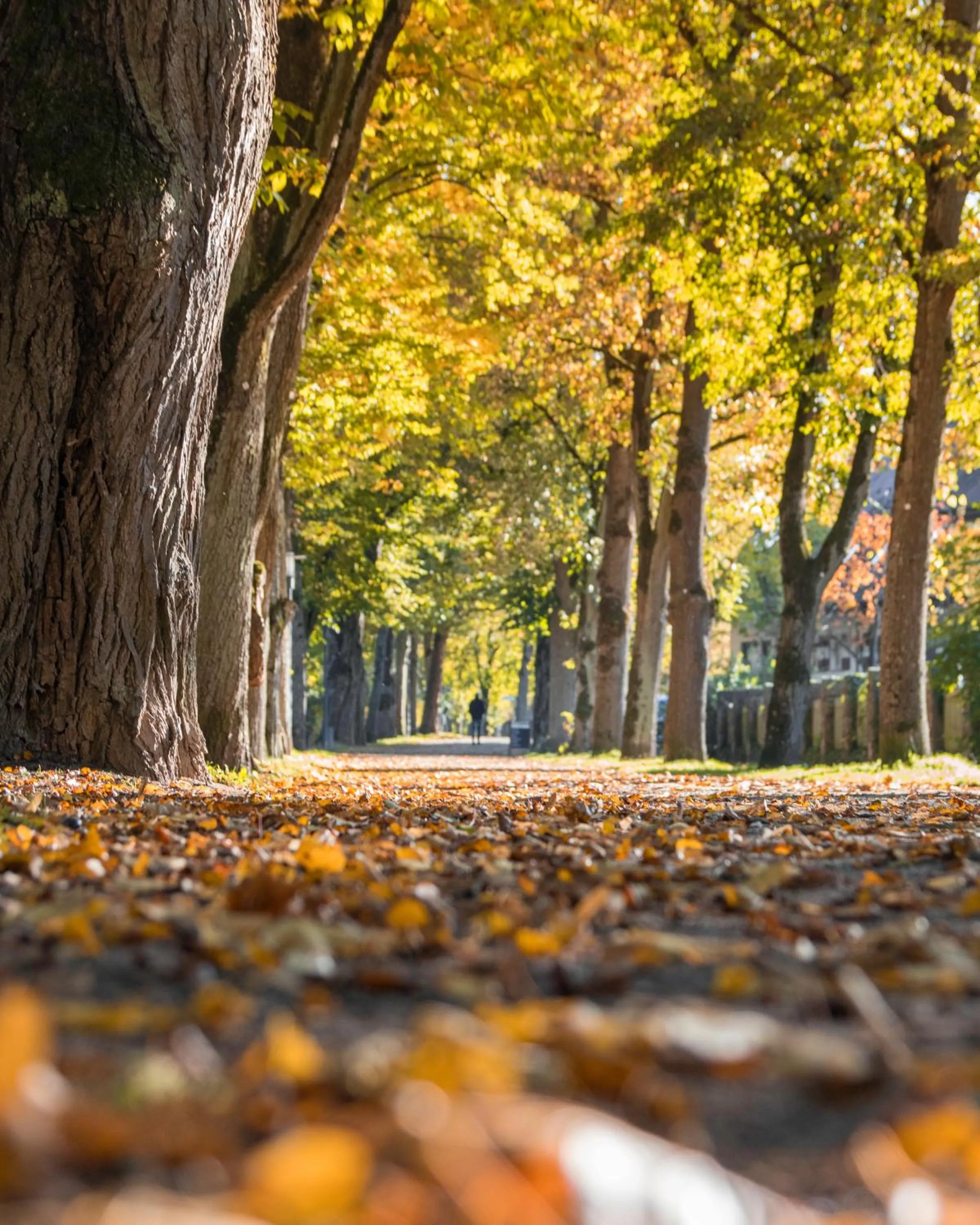 Nearby landmark in Laudensacks Parkhotel & Retreat