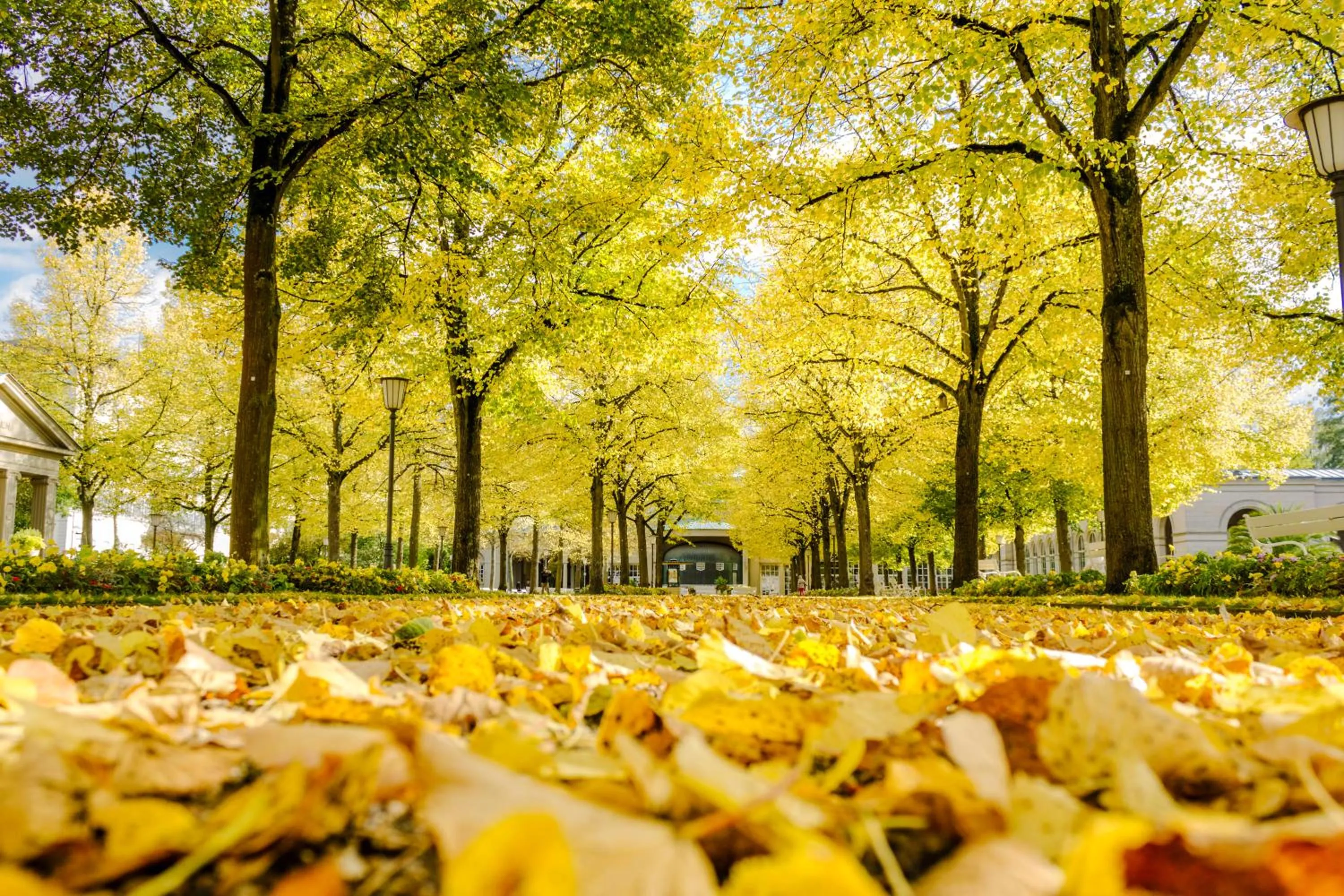 Natural landscape in Laudensacks Parkhotel & Retreat