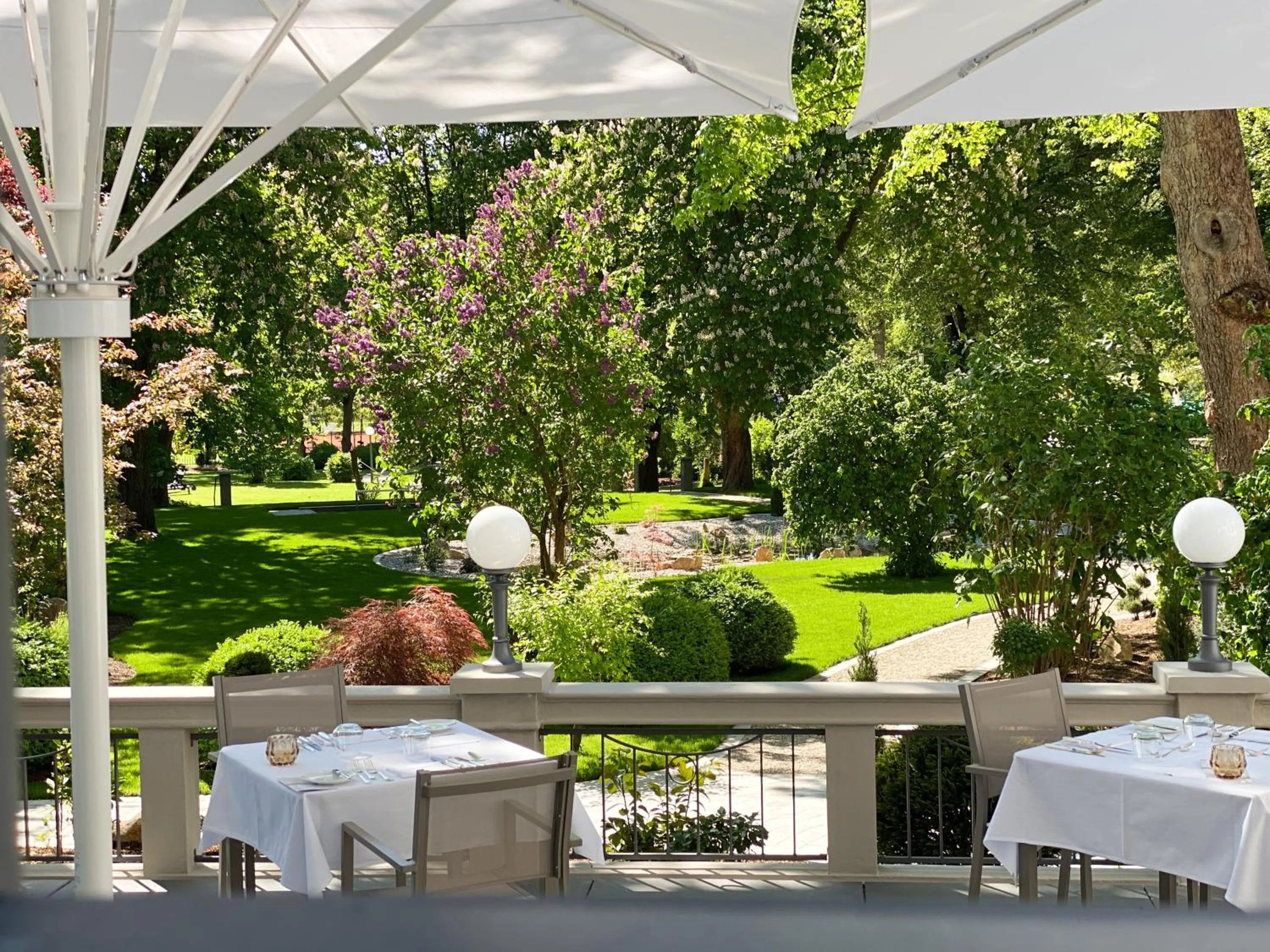 Restaurant/places to eat in Laudensacks Parkhotel & Retreat