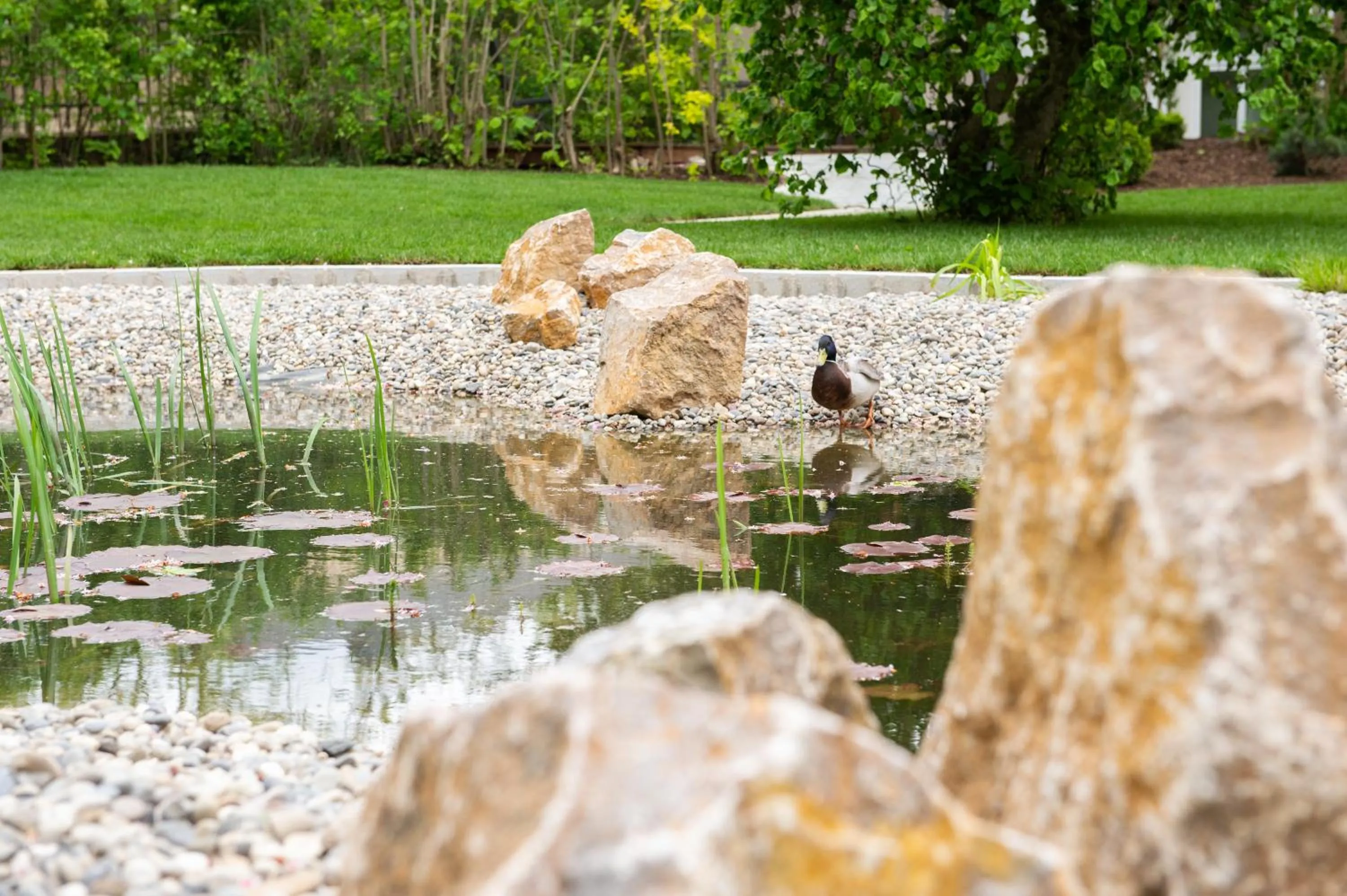 Garden in Laudensacks Parkhotel & Retreat
