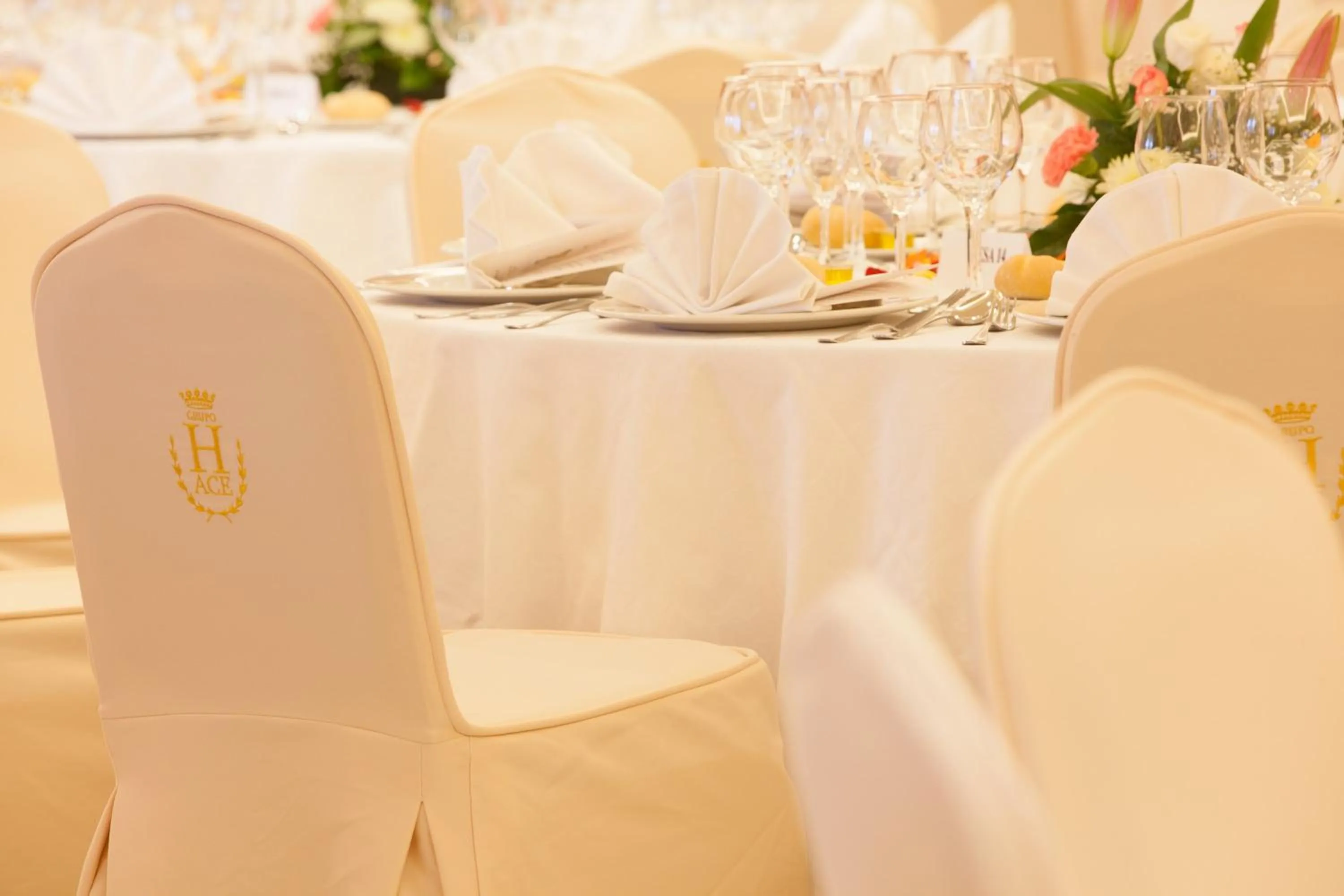 Banquet/Function facilities in Hotel Duque de Najera