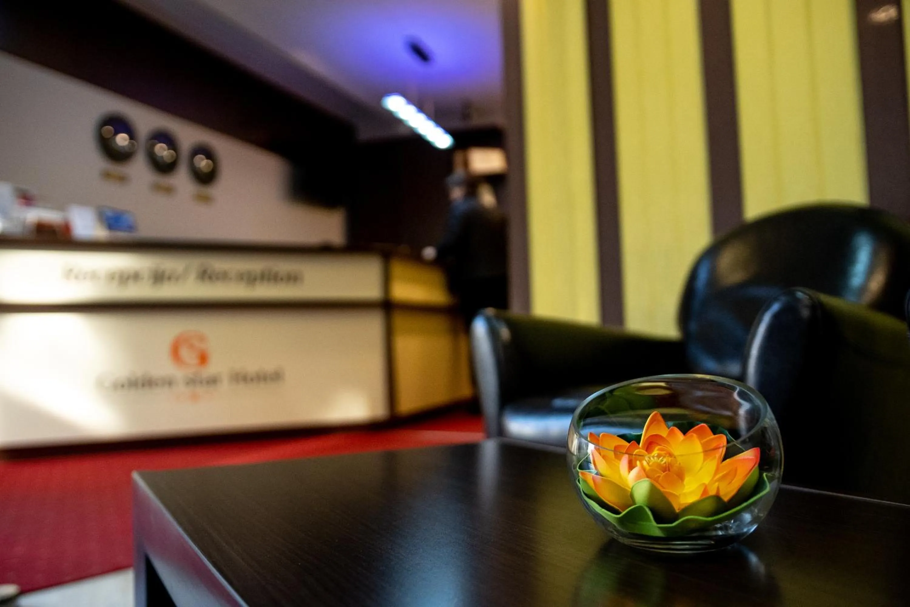 Lobby or reception in Boutique Hotel Golden Star