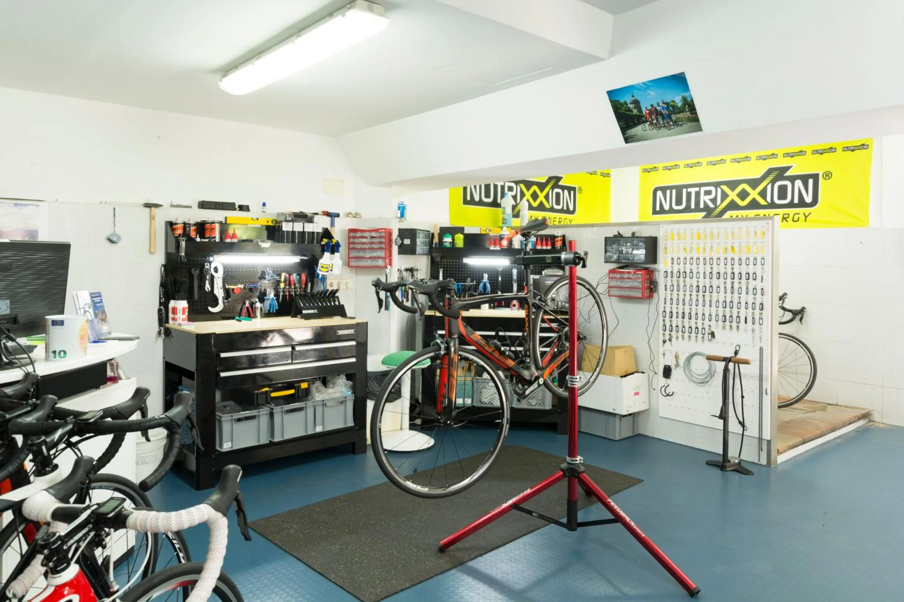 Cycling in HSM Golden Playa