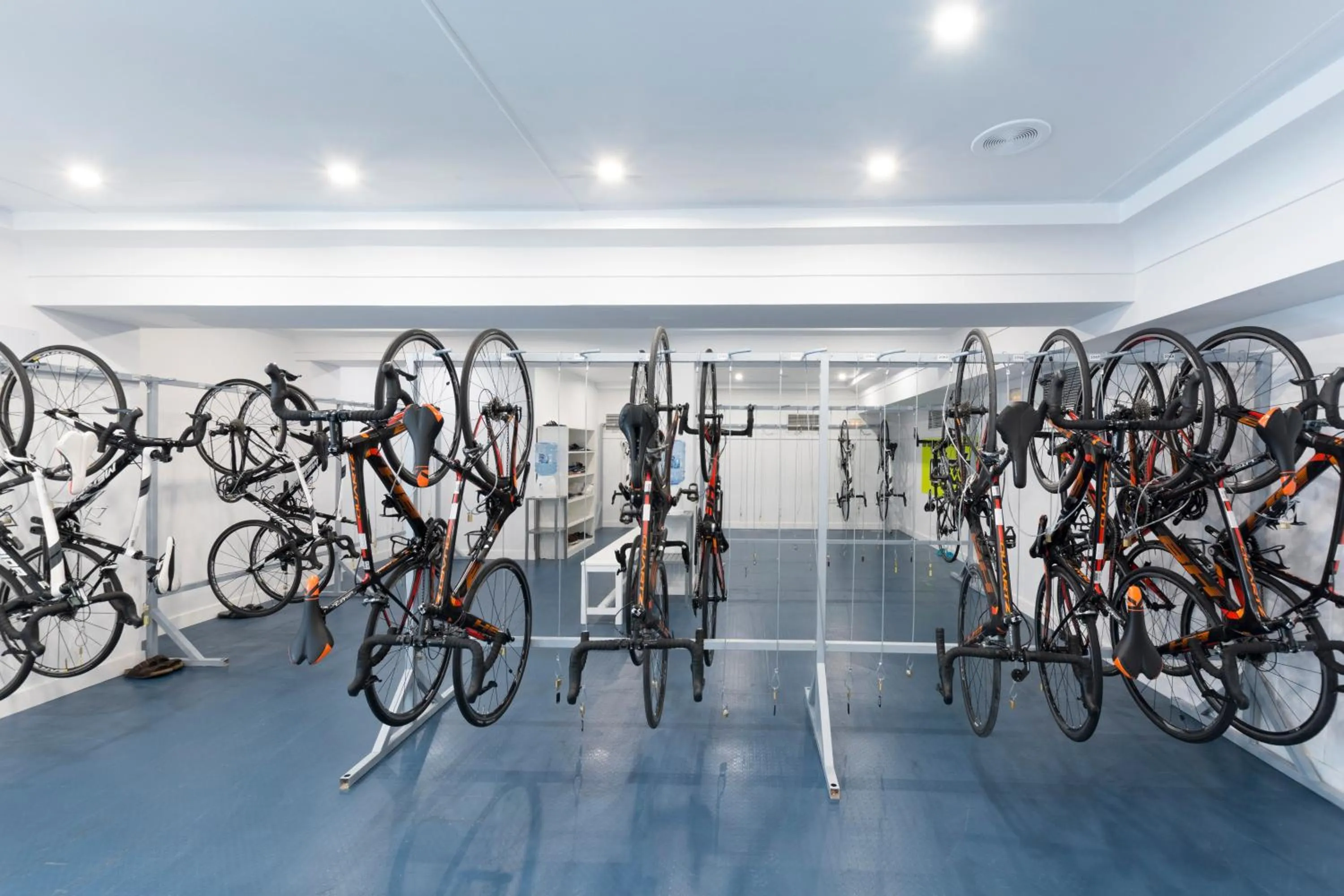 Cycling in HSM Golden Playa