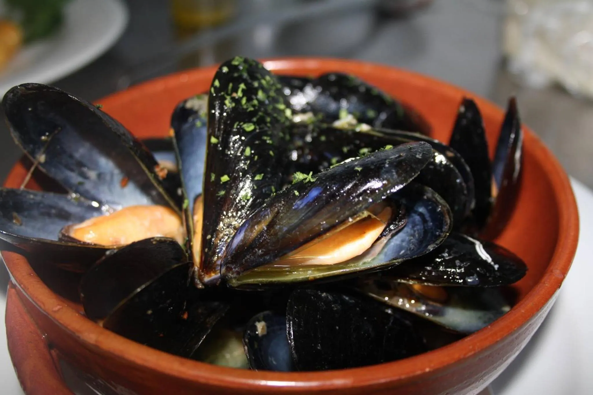 Food in Il Garibaldi