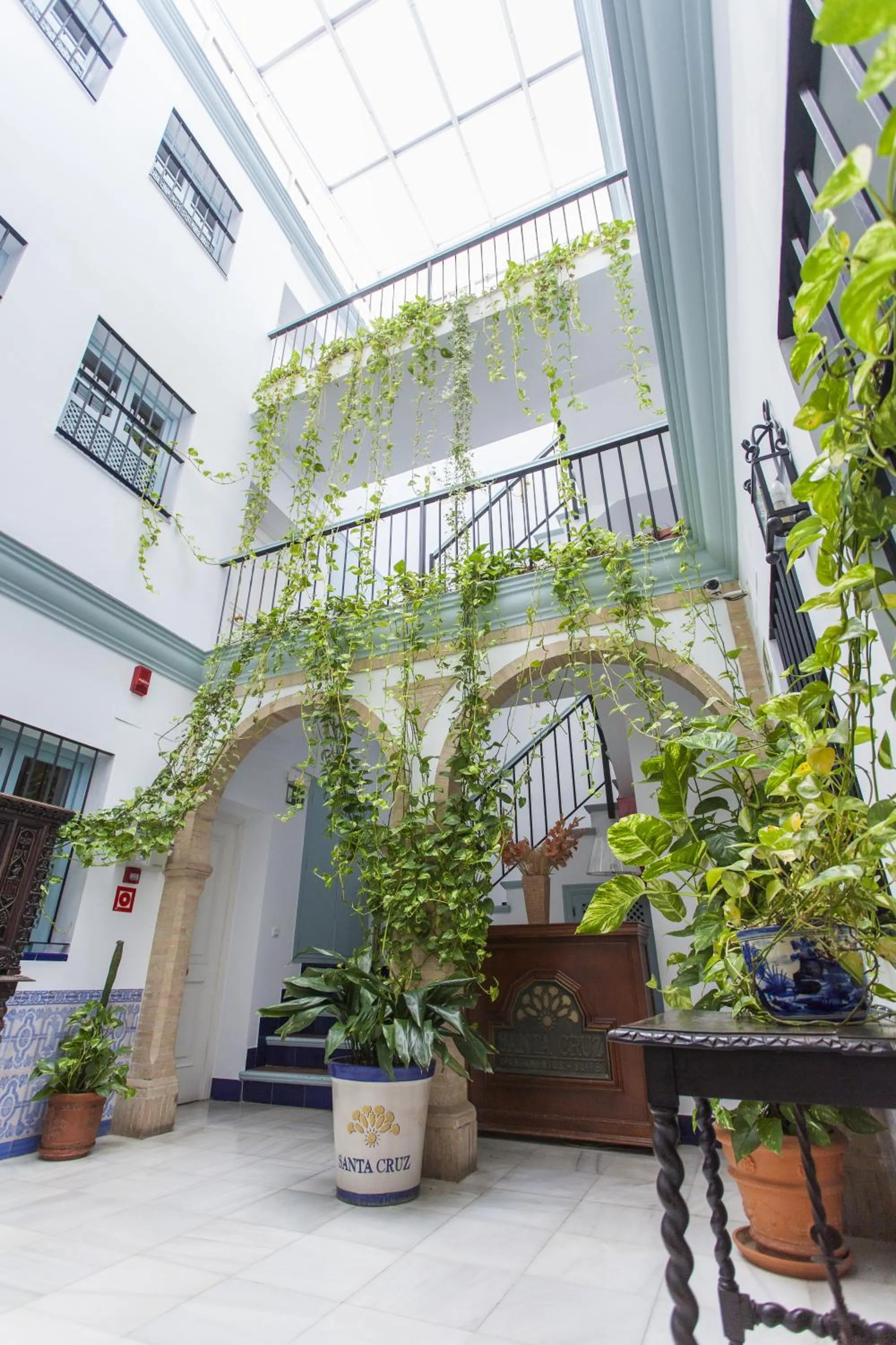 Patio in Apartamentos Suites Santa Cruz