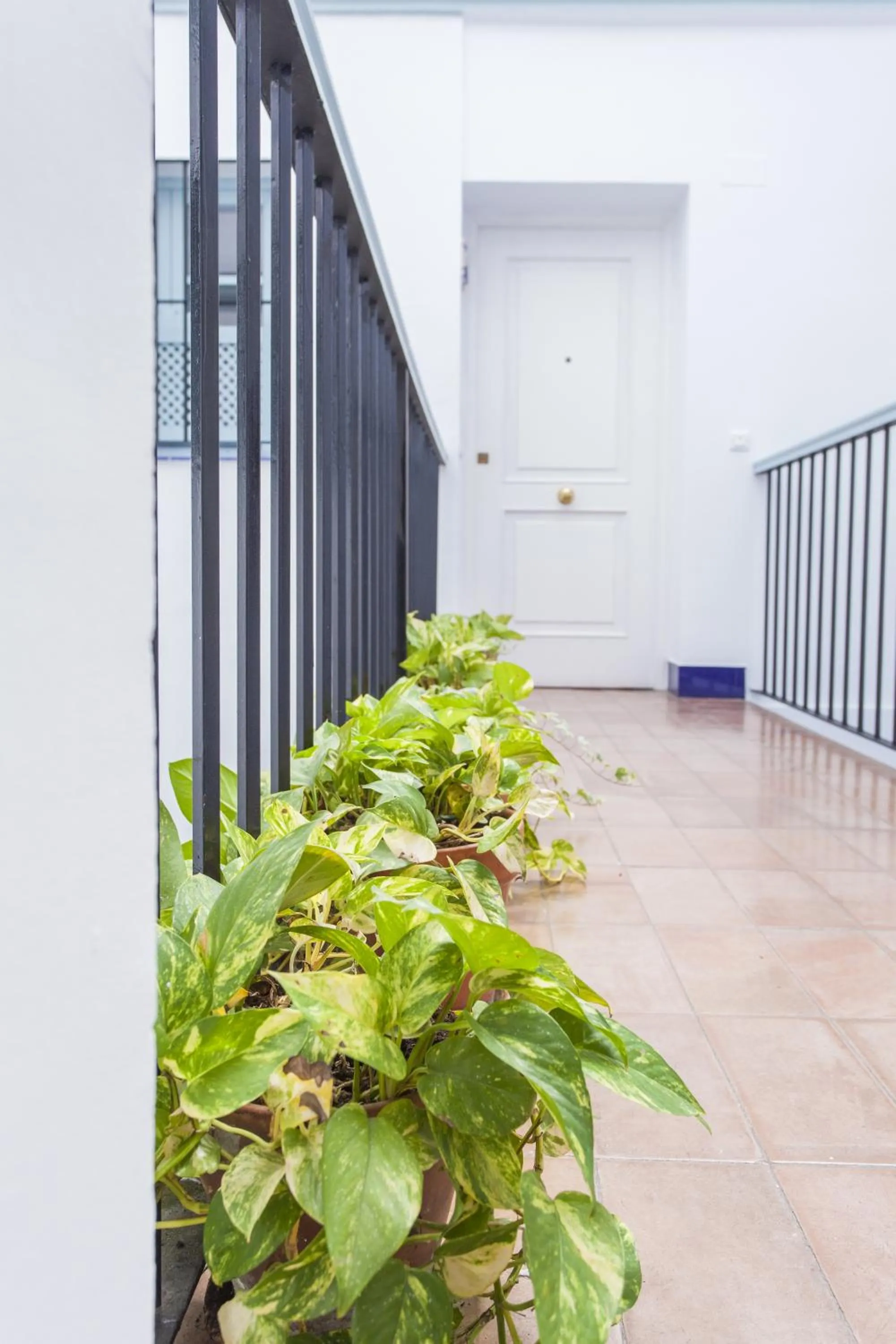 Decorative detail in Apartamentos Suites Santa Cruz