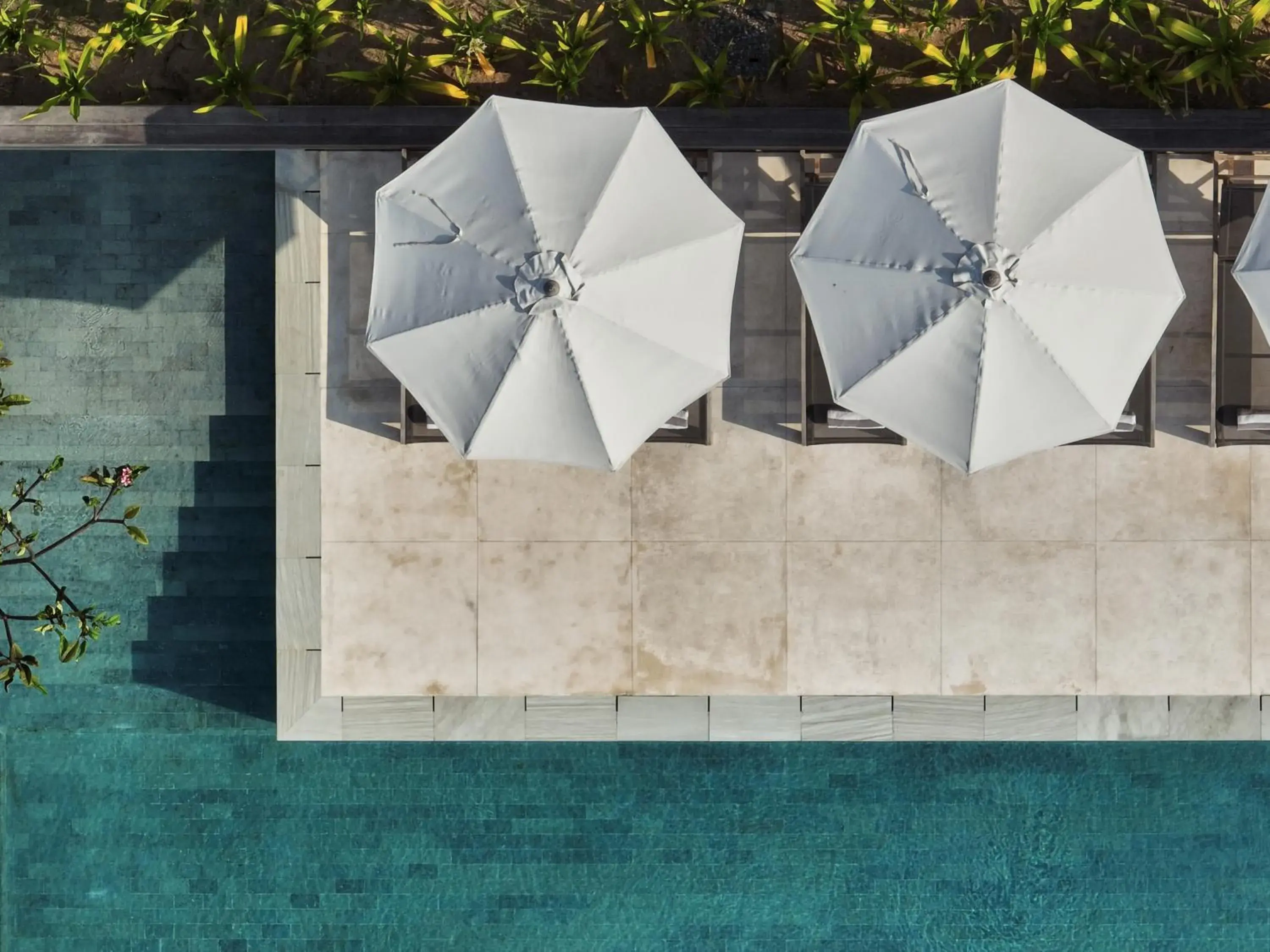 Pool view in Somewhere Lombok Pool view in Somewhere Lombok