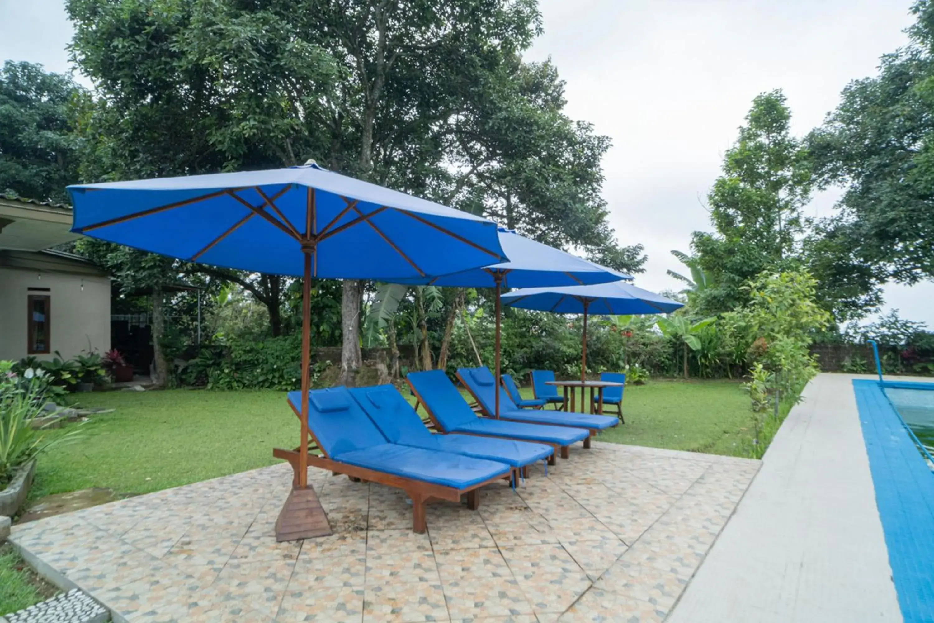 sunbed in RedDoorz near Taman Safari 2 sunbed in RedDoorz near Taman Safari 2