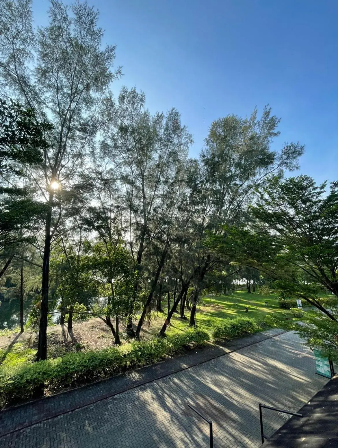 Garden view in Waterfront Boutique Hotel Garden view in Waterfront Boutique Hotel