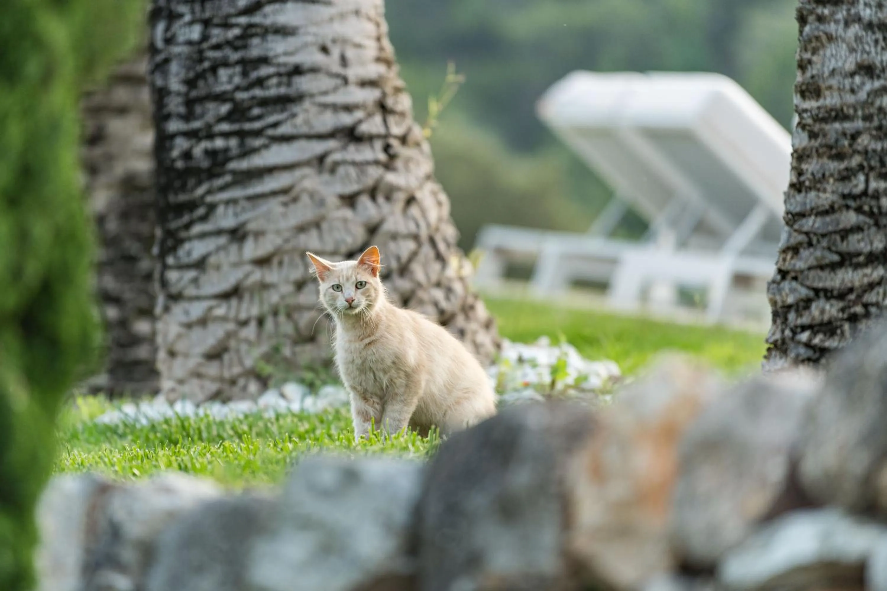 Natural landscape in Monnàber Vell