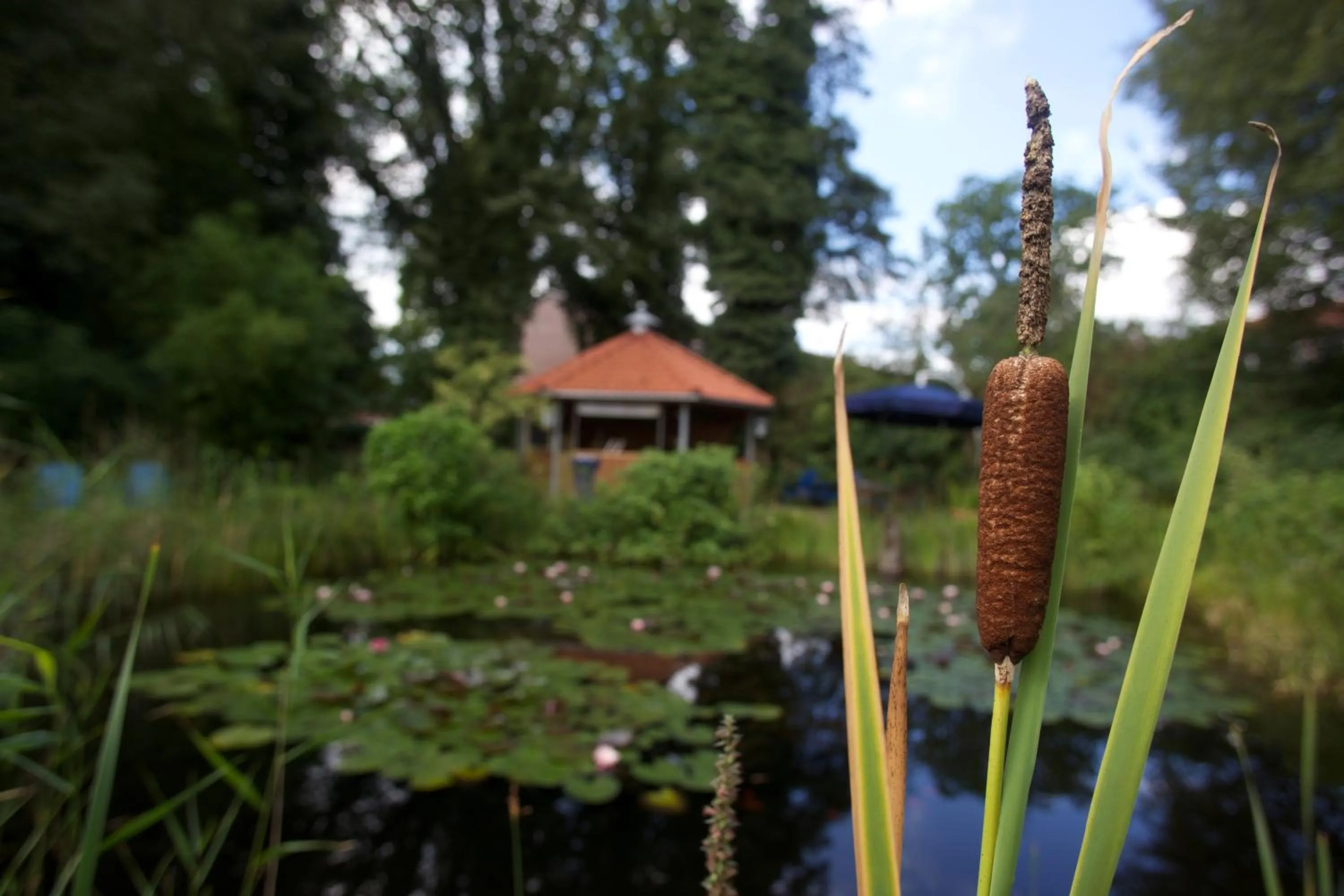 Garden view in Seminarhotel Aurich