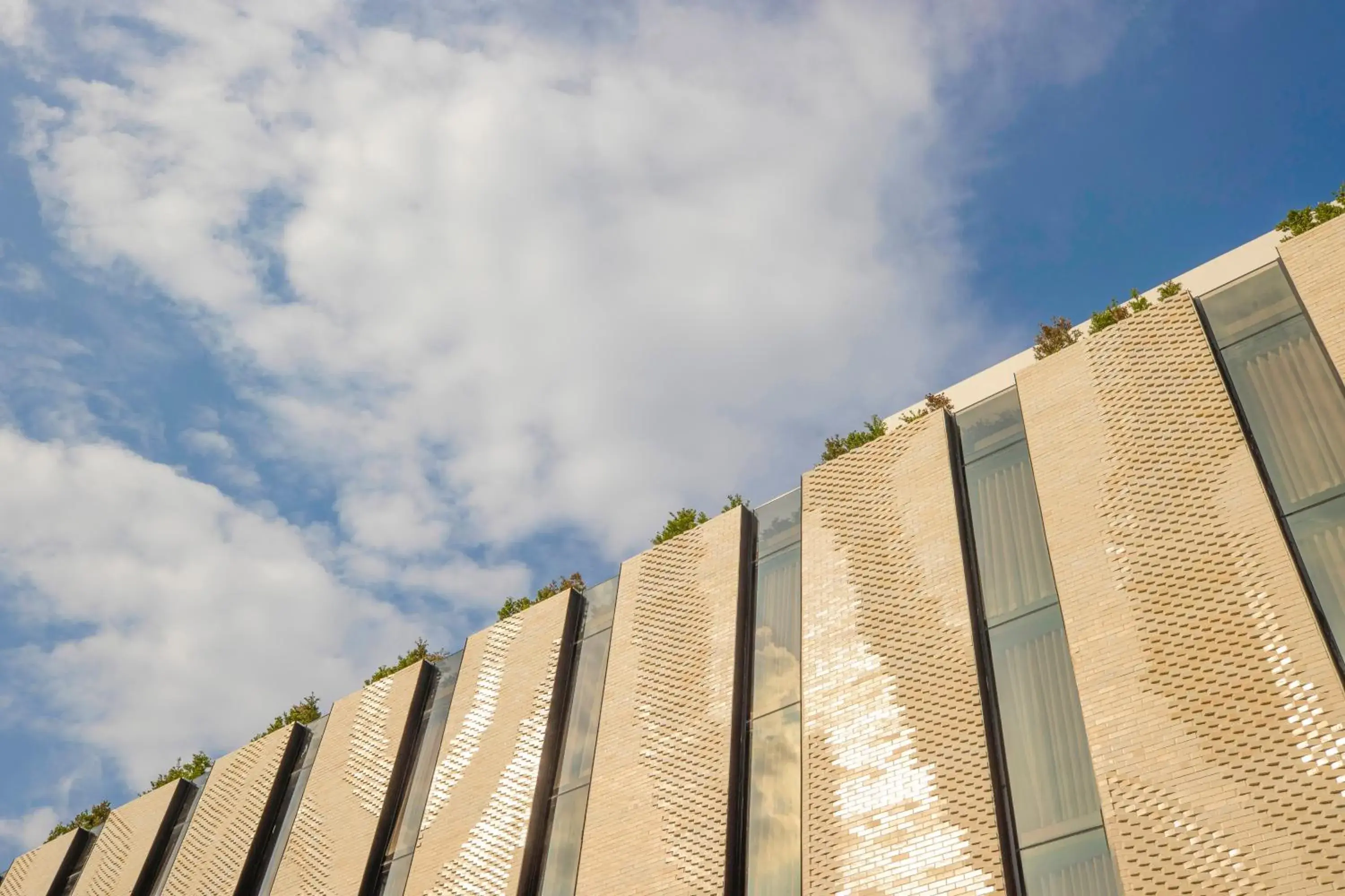Facade/entrance in The Gravitique Hotel Khaosan Facade/entrance in The Gravitique Hotel Khaosan