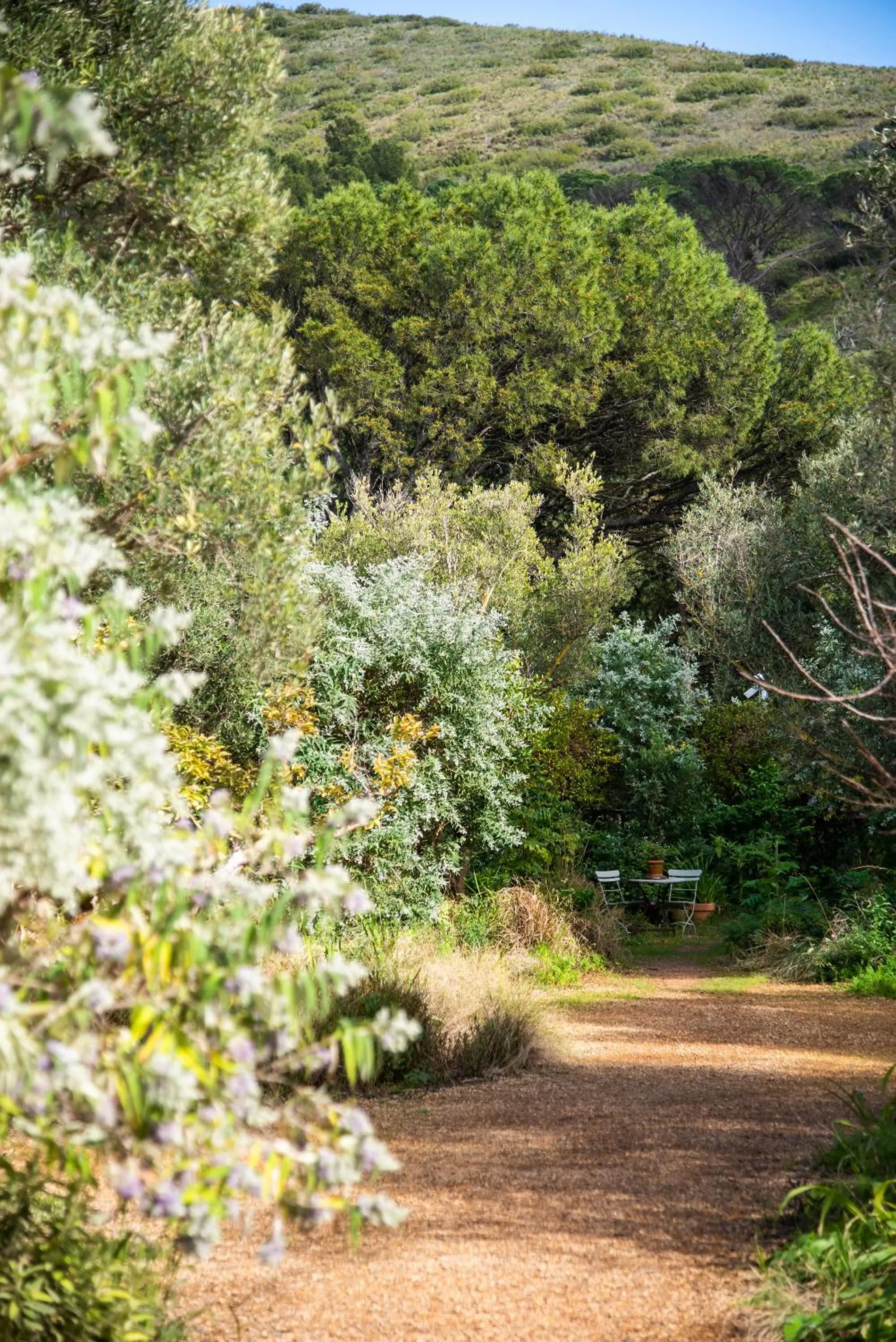 Garden in Dorp Hotel
