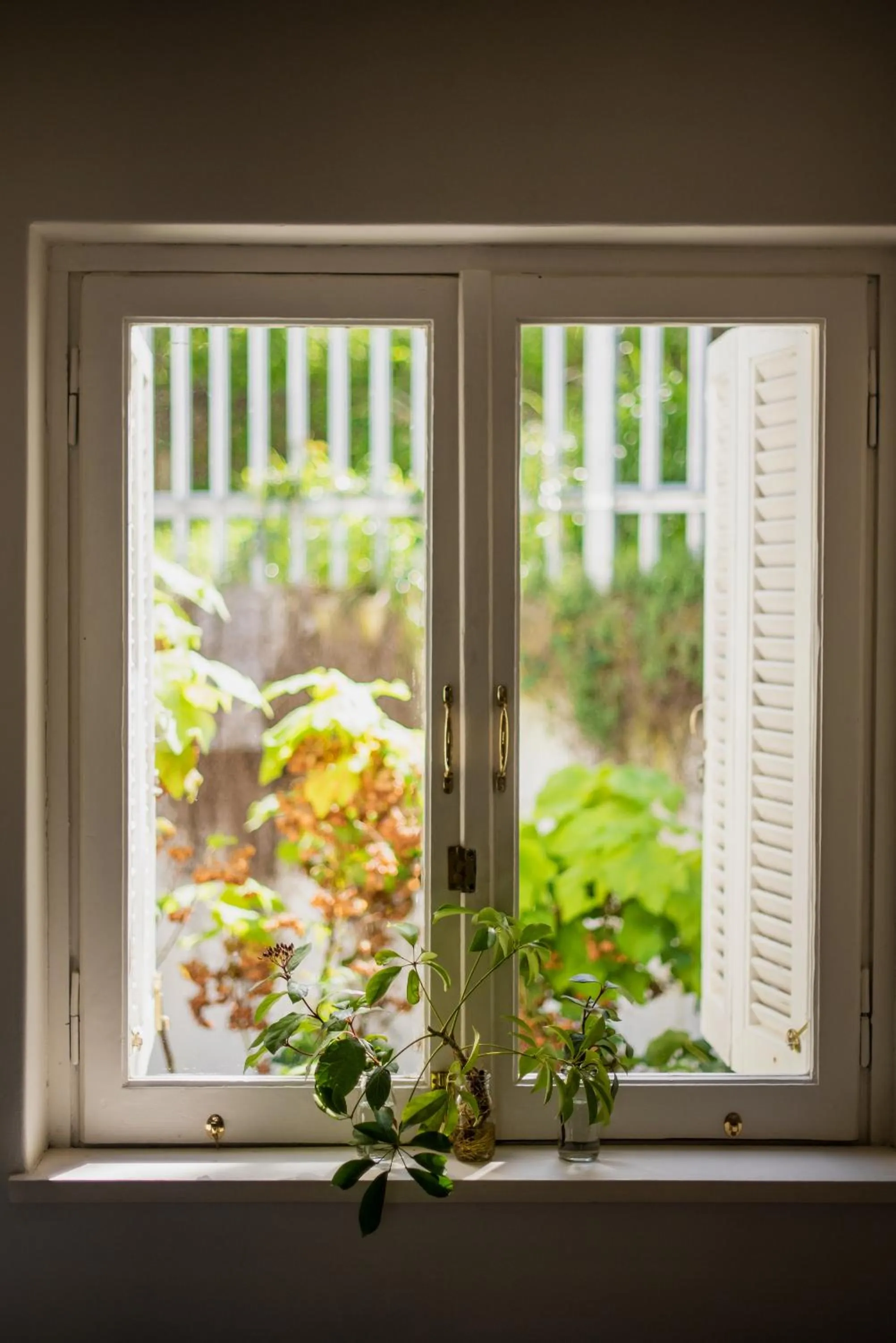 Garden in Dorp Hotel