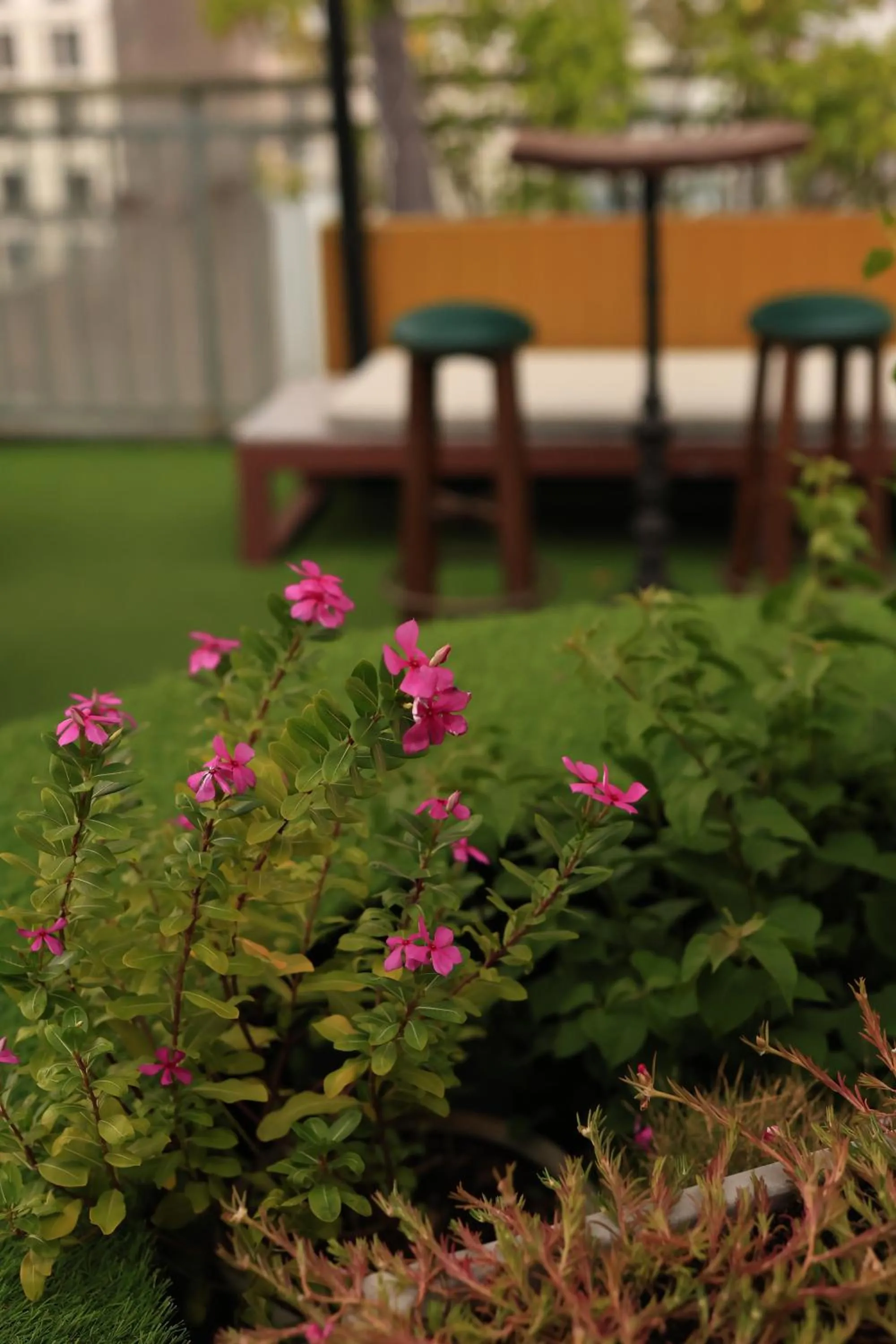 California Saigon Hotel & Rooftop Pool