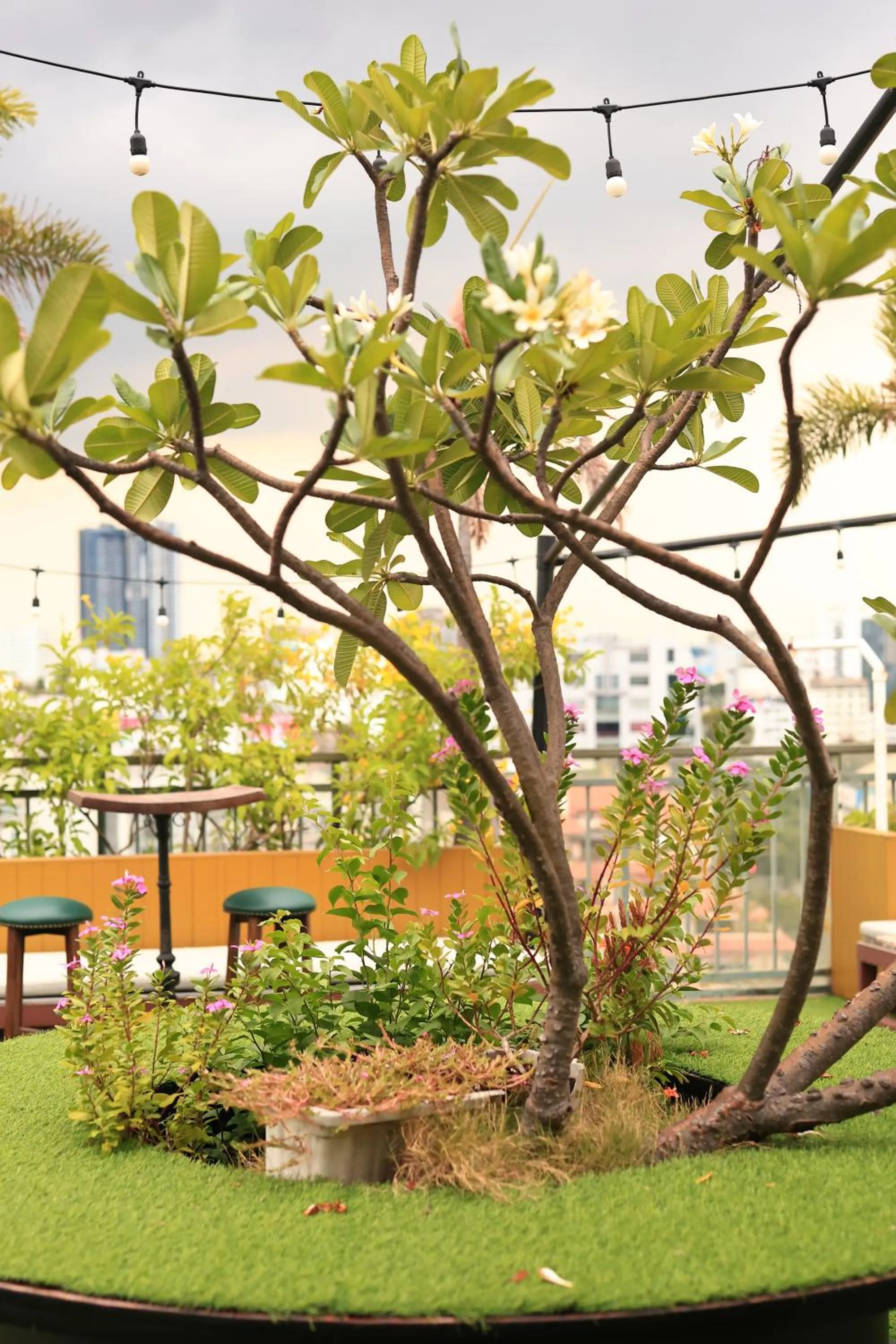 California Saigon Hotel & Rooftop Pool