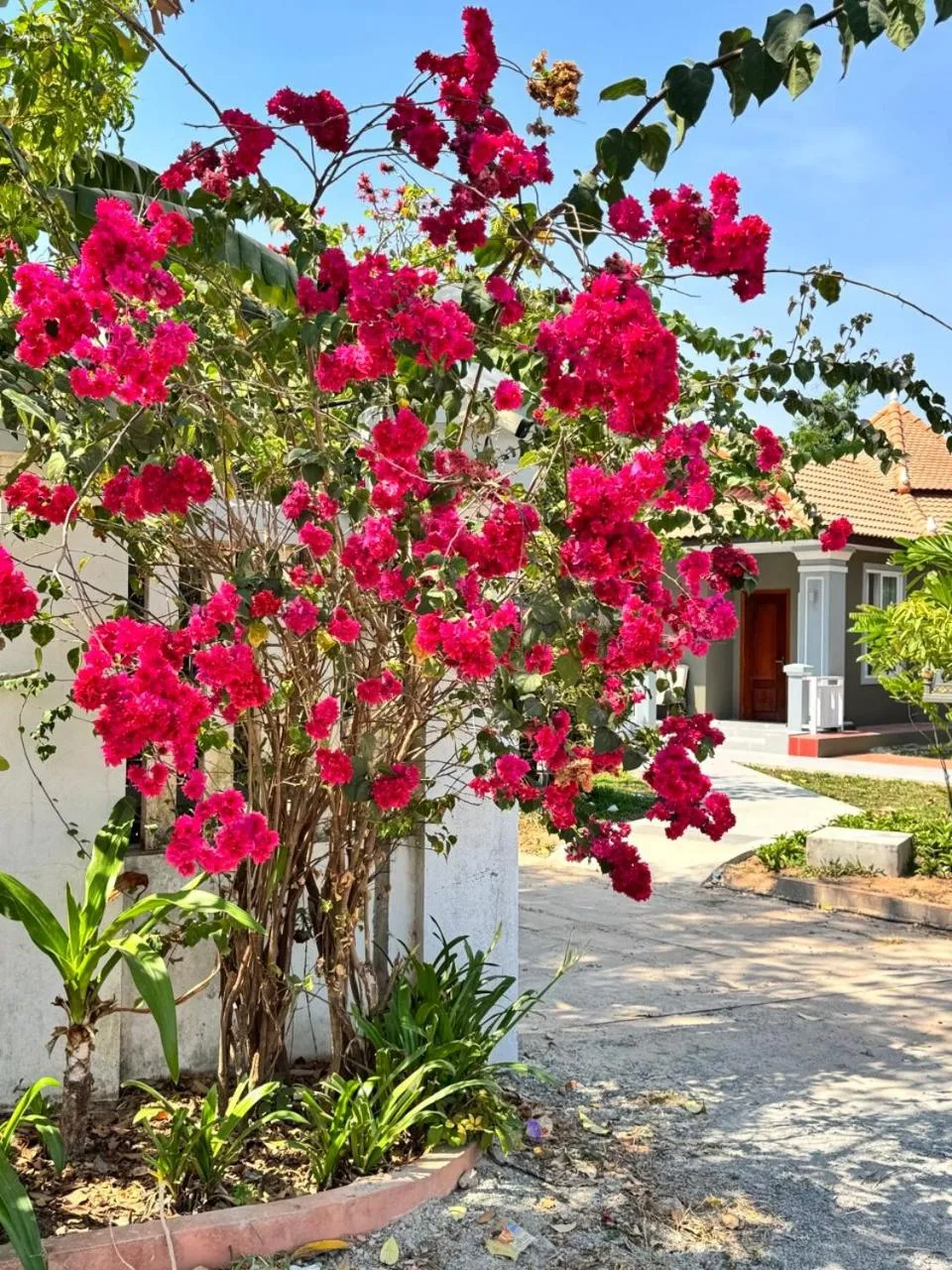 SANNA VILLA Residence