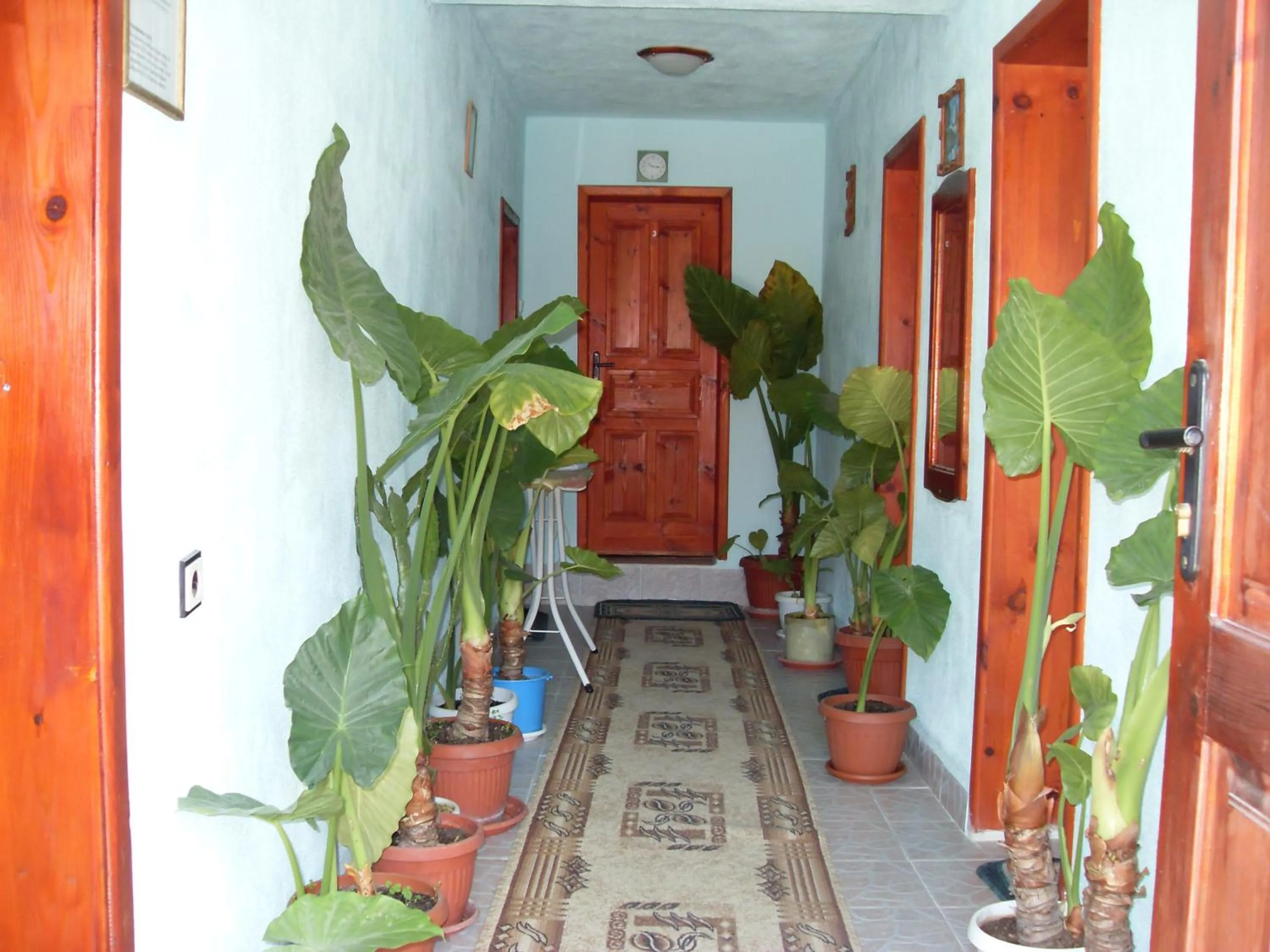 Guest House Rimski Most