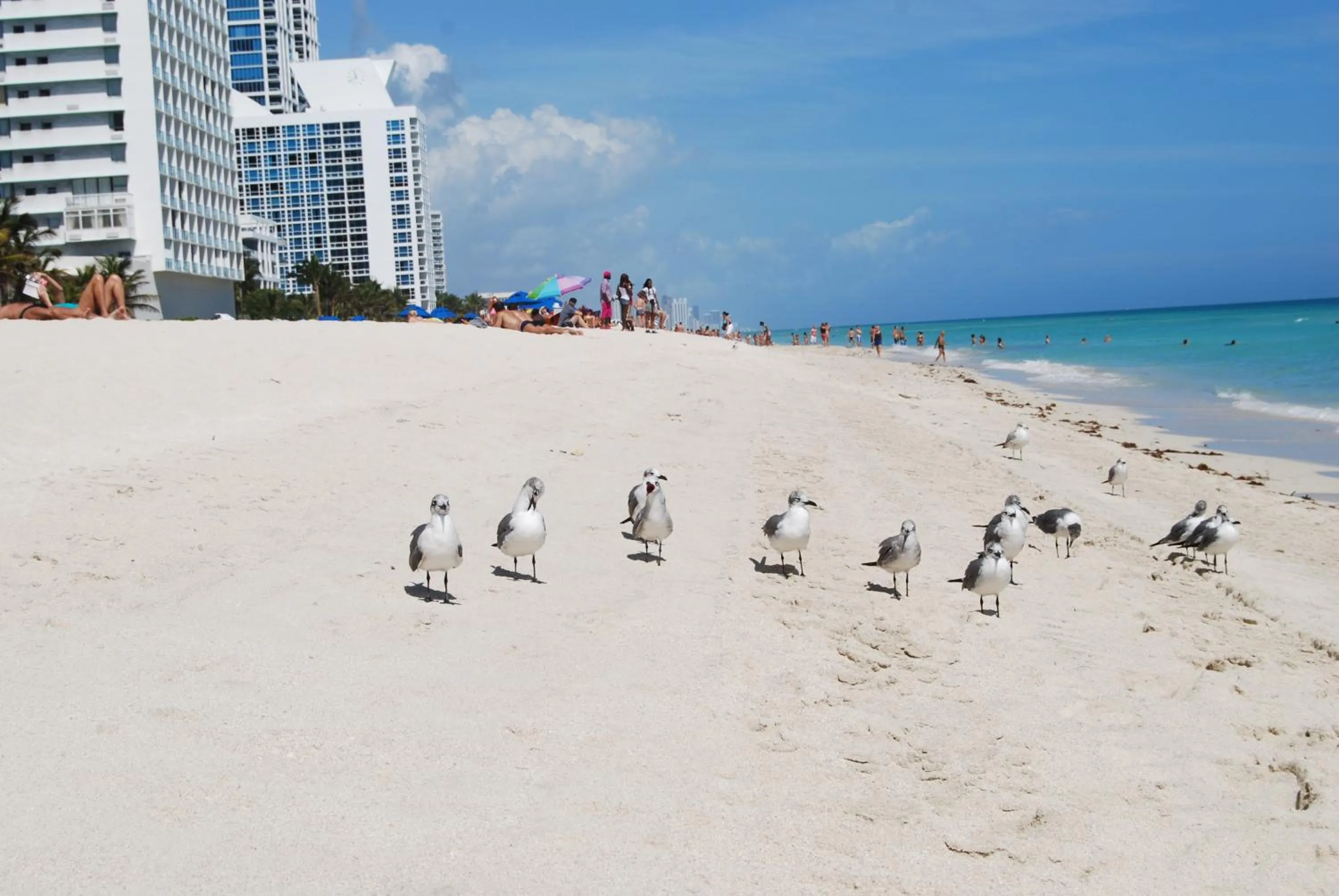 Beach in Monte Carlo by Miami Vacations